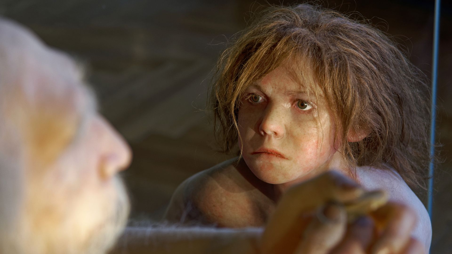 Model of Homo neanderthalensis child in The Natural History Museum, Vienna