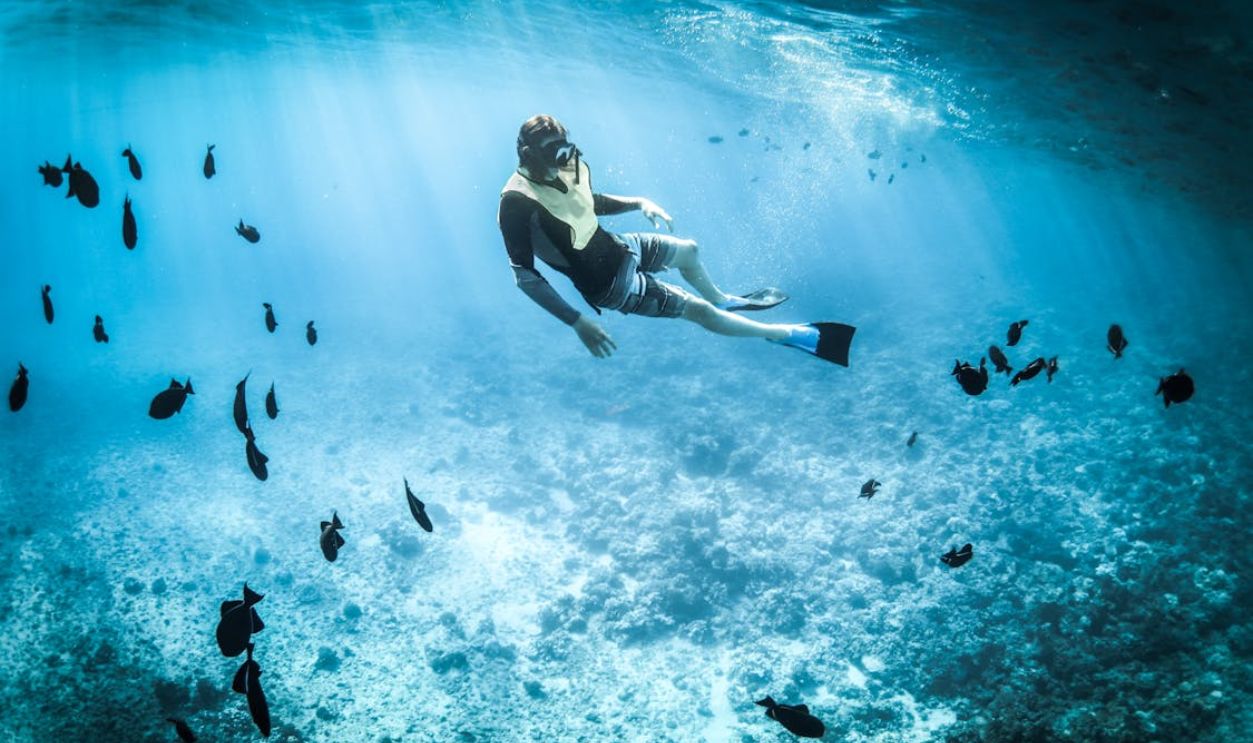 Person snorkeling among vibrant marine life in a tropical, turquoise sea.