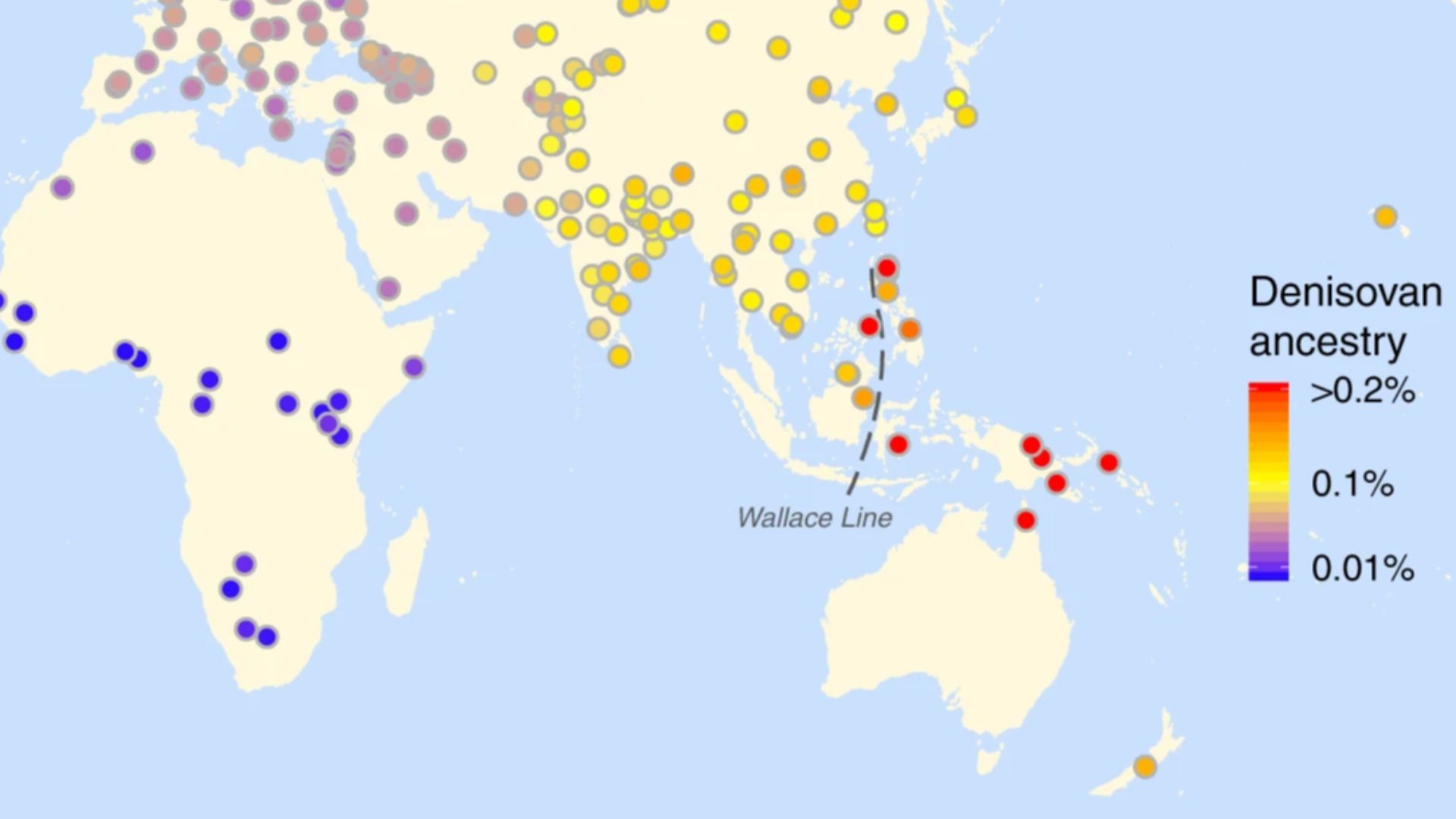 Yuan (2021) Fig. 3- Archaic introgression in modern humans across the world (Denisovan only)