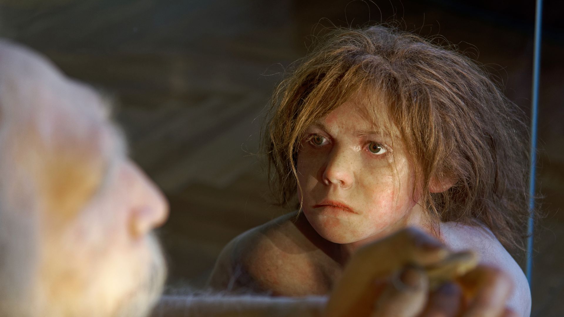 Model of Homo neanderthalensis child in The Natural History Museum, Vienna