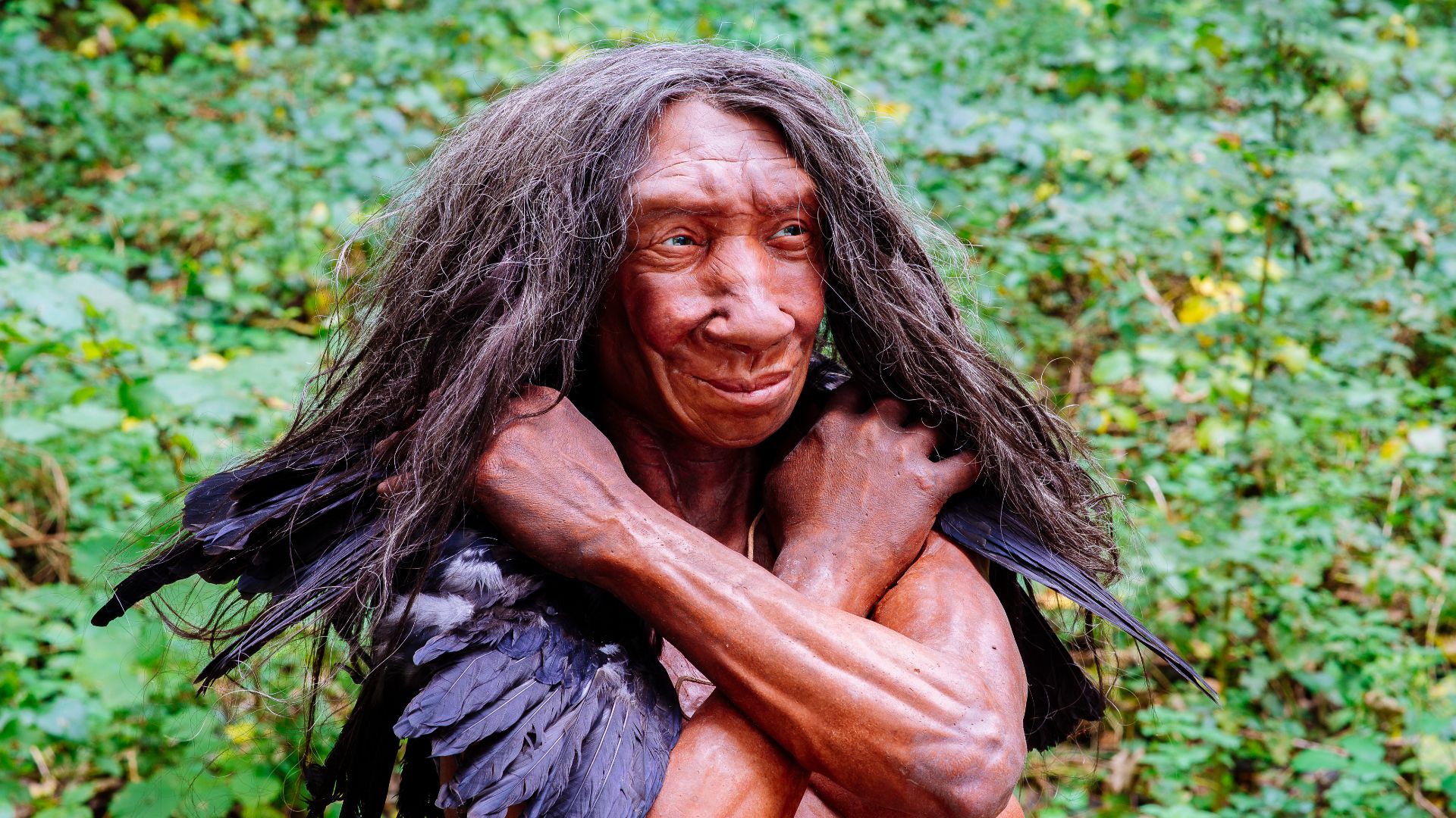 Lebend-Rekonstruktion im Neanderthal-Museum (Erkrath, Mettmann) eines Homo sapiens neanderthalensis (Ausschnitt des Originalfotos), Fundort Gibraltar