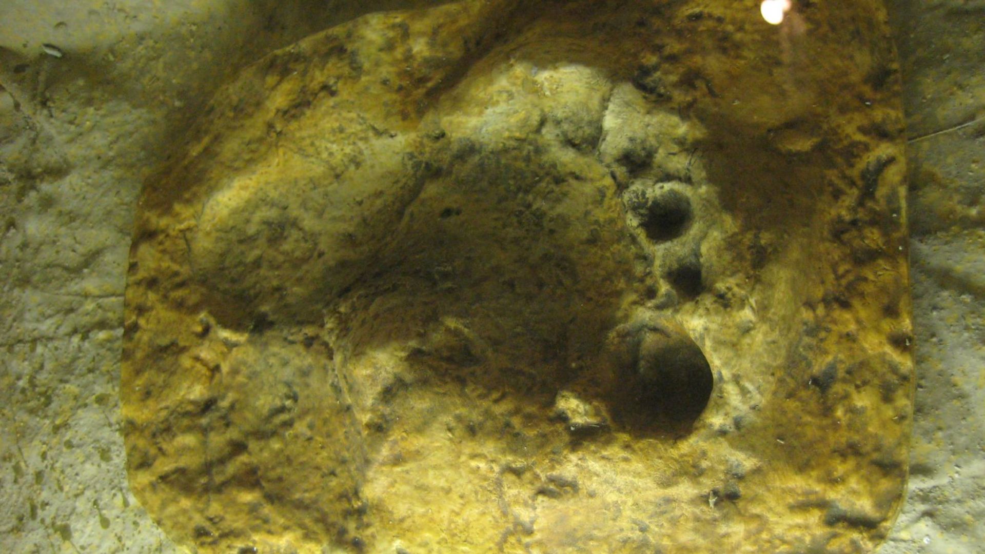 Footprint (mislabelled as belonging to a Neanderthal) from Bàsura Cave, Italy, dating to 14,000 years ago[1]