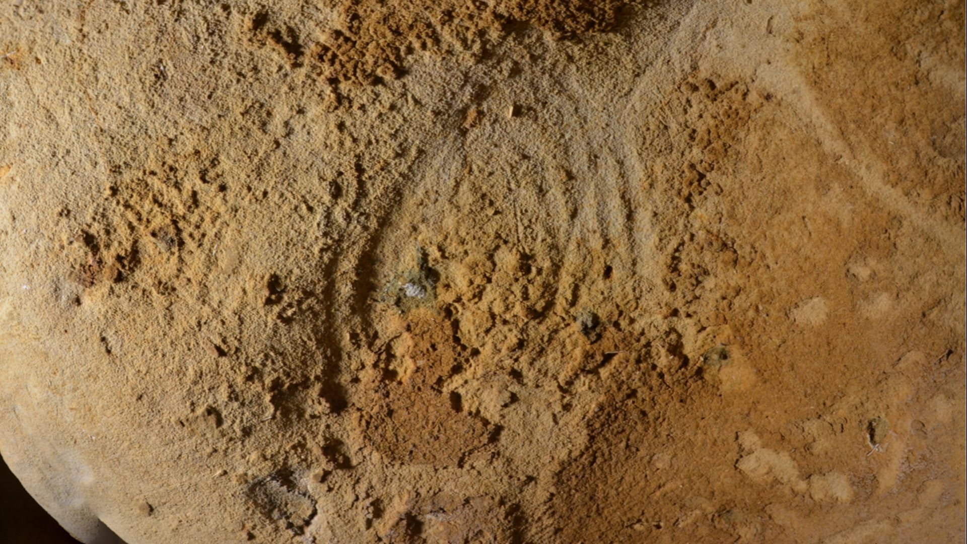 The earliest unambiguous Neanderthal engravings on cave walls: La Roche-Cotard, Loire Valley, France - Fig 12. The Circular Panel.