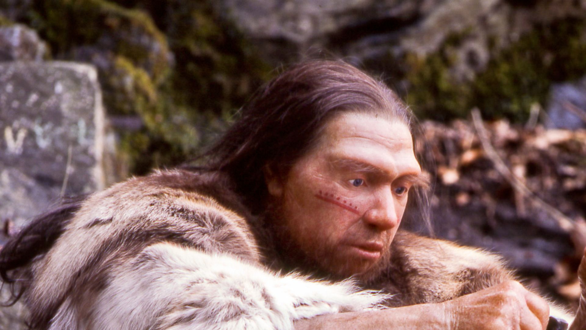Lebend-Rekonstruktion im Neanderthal-Museum (Erkrath, Mettmann) eines Homo sapiens neanderthalensis-Jägers