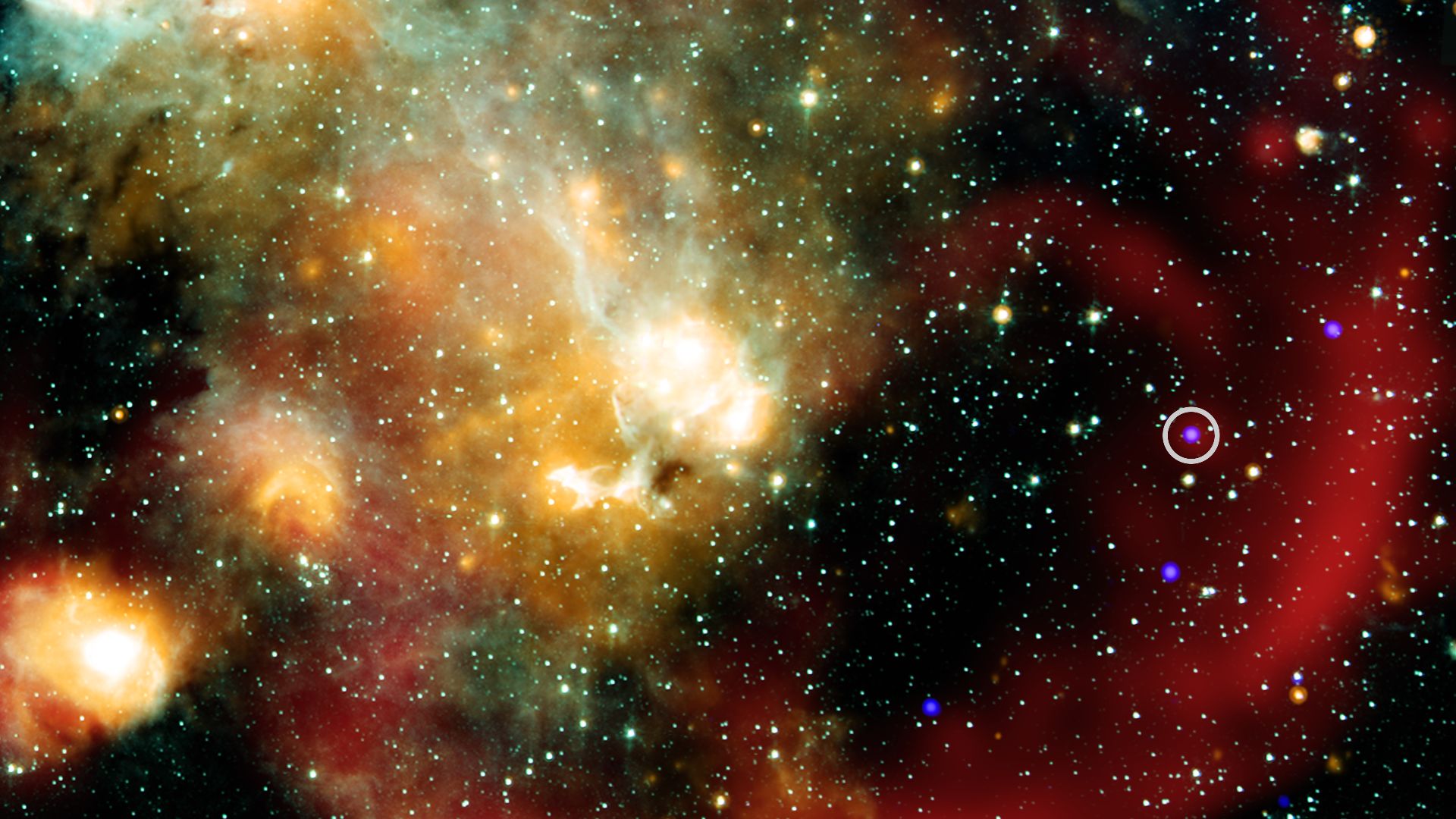 Scientists have discovered a star behaving like no other seen before, giving fresh clues about the origin of a new class of mysterious objects. X-ray: NASA/CXC/ICRAR, Curtin Univ./Z. Wang et al.; Infrared: NASA/JPL/CalTech/IPAC; Radio: SARAO/MeerKAT; Imag