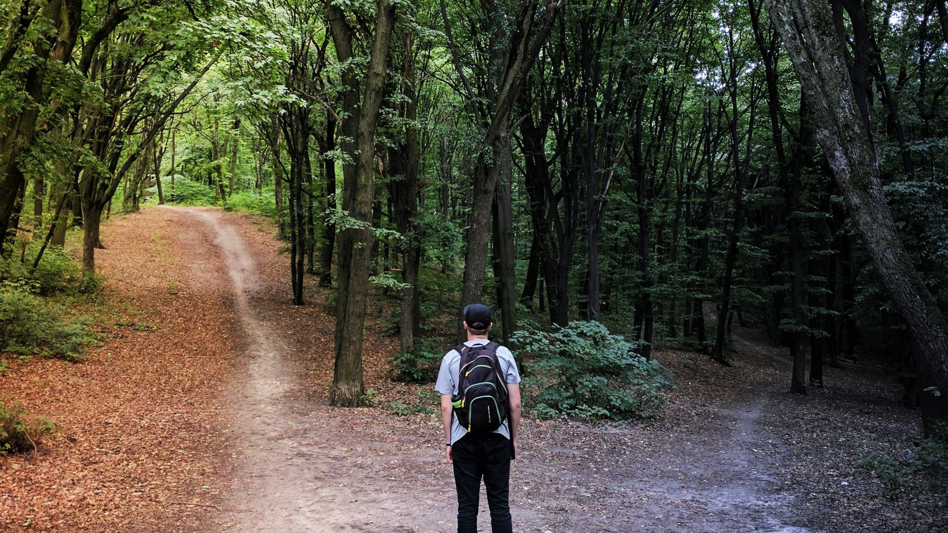 man standing in the middle of woods