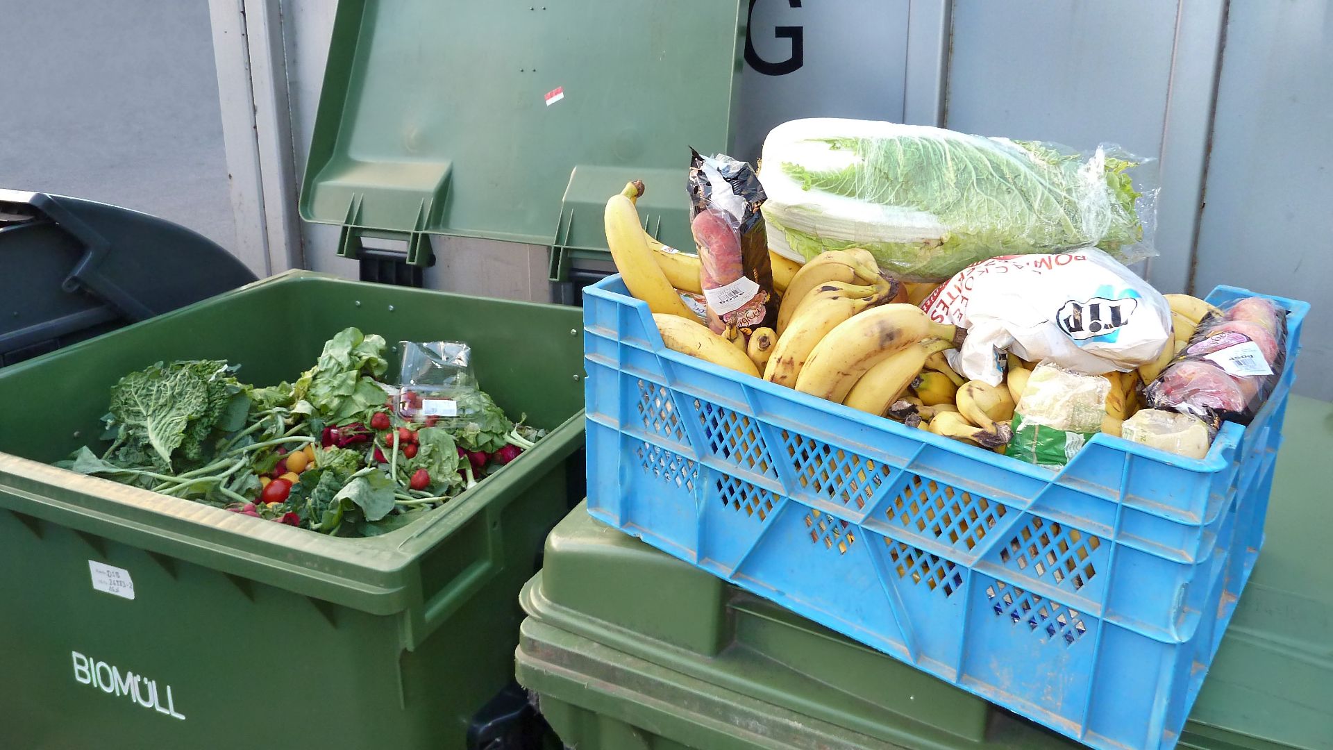 A box full of recovered vegetables and fruits dug out of the waste of a hypermarket
