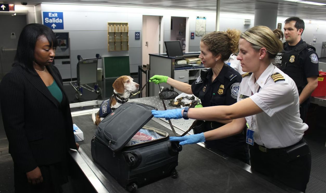 Airport Bag Inspection Scene