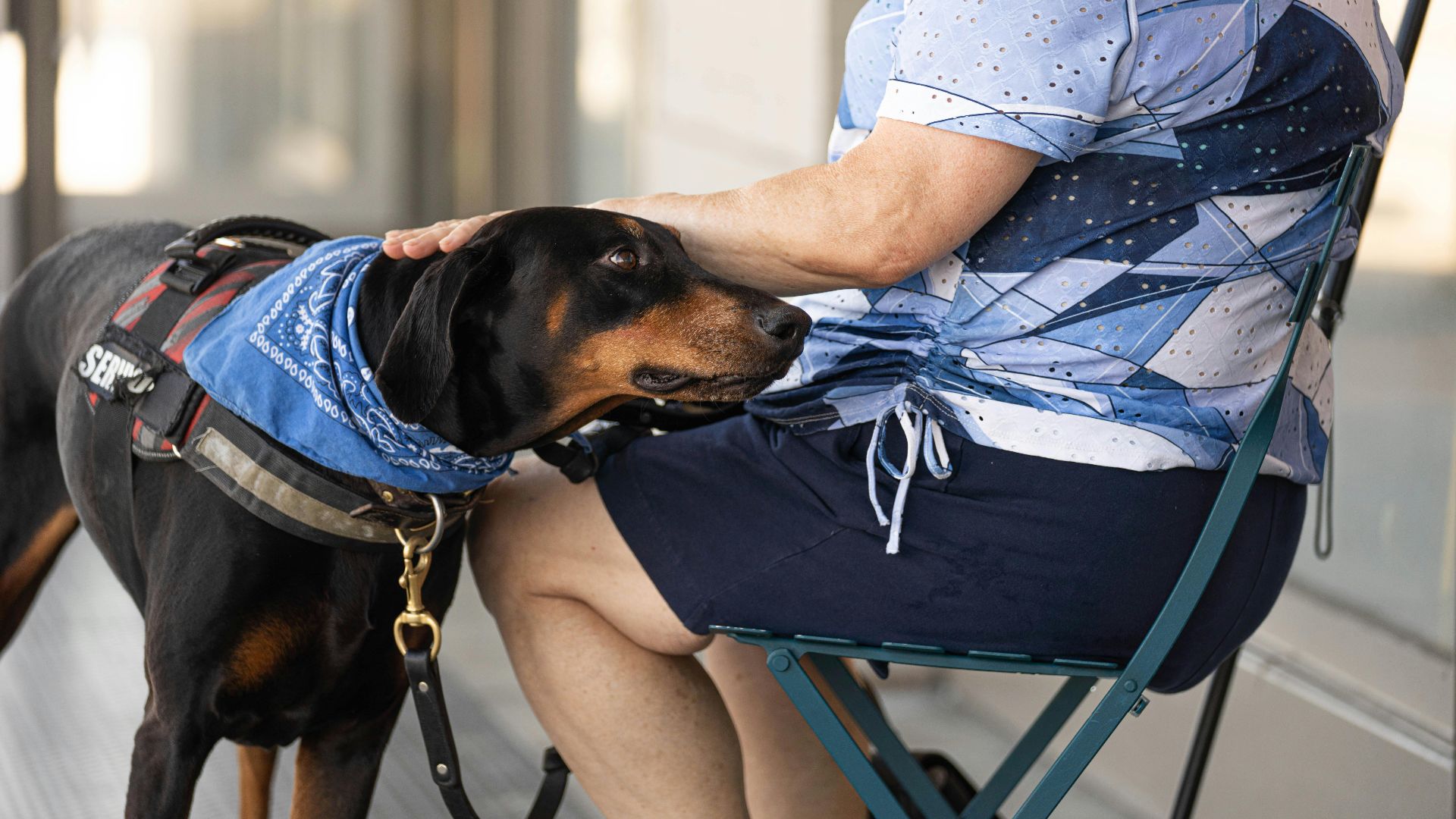 A senior woman is sitting outdoors with her attentive therapy dog. The dog wears a service vest and blue bandana.