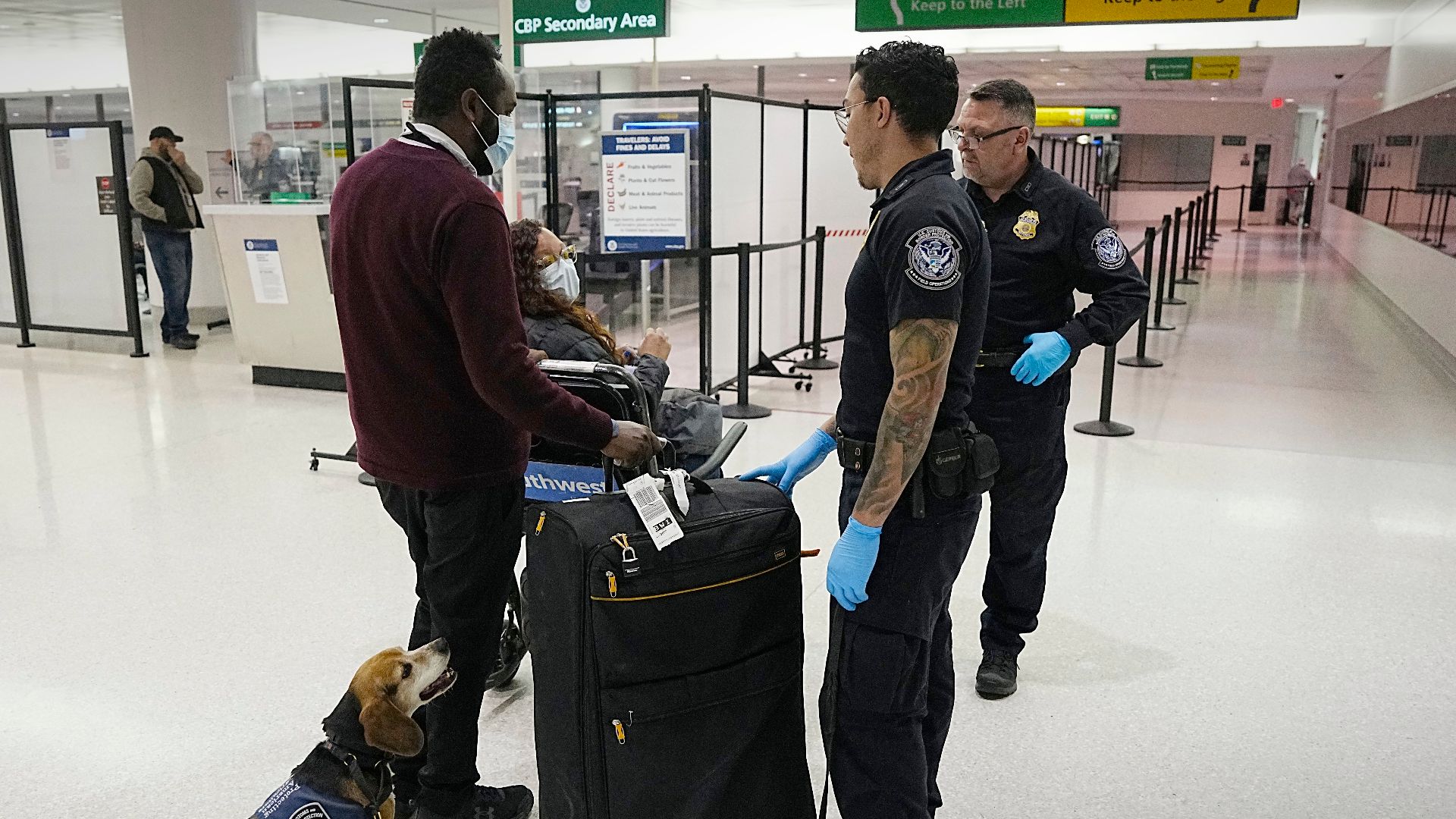 A U.S. Customs and Border Protection Office of Field Operations agriculture specialist and his beagle, “Dallas,” screen the luggage of international travelers as they depart baggage claim at Baltimore/Washington International Thurgood Marshall Airport Feb