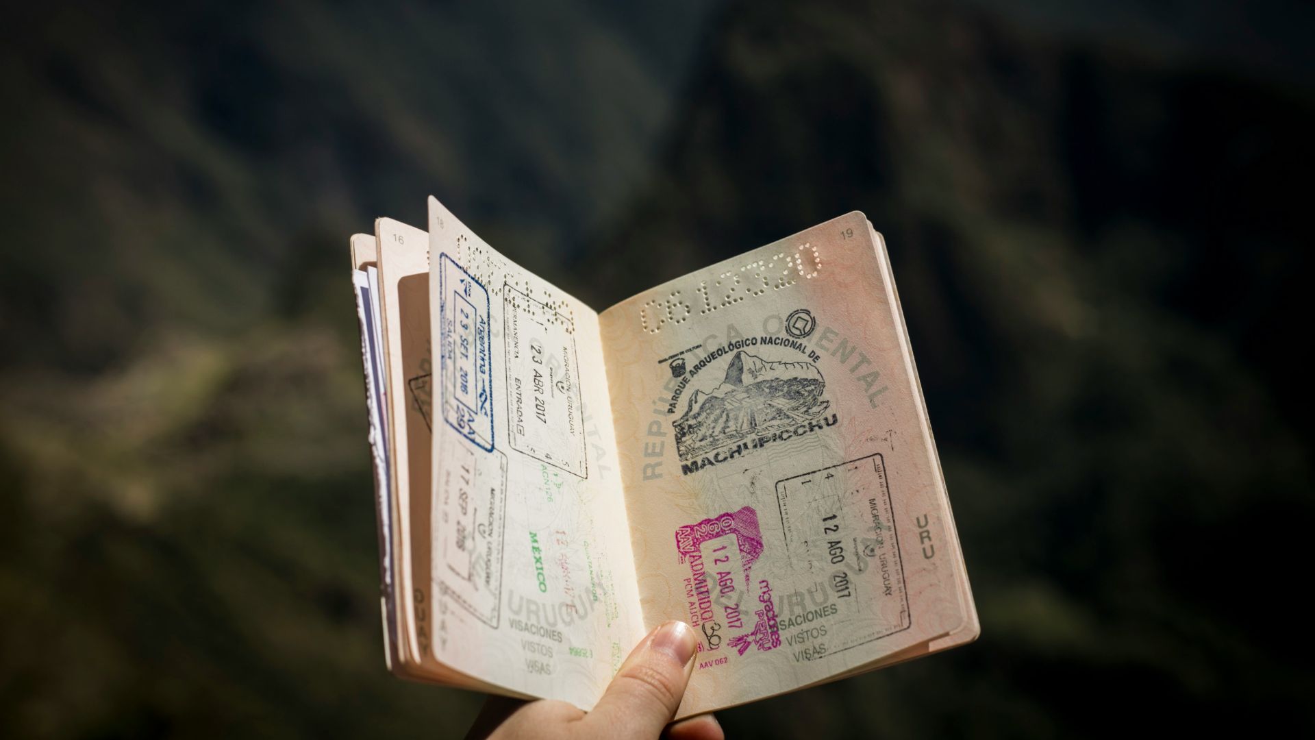 person holding passport