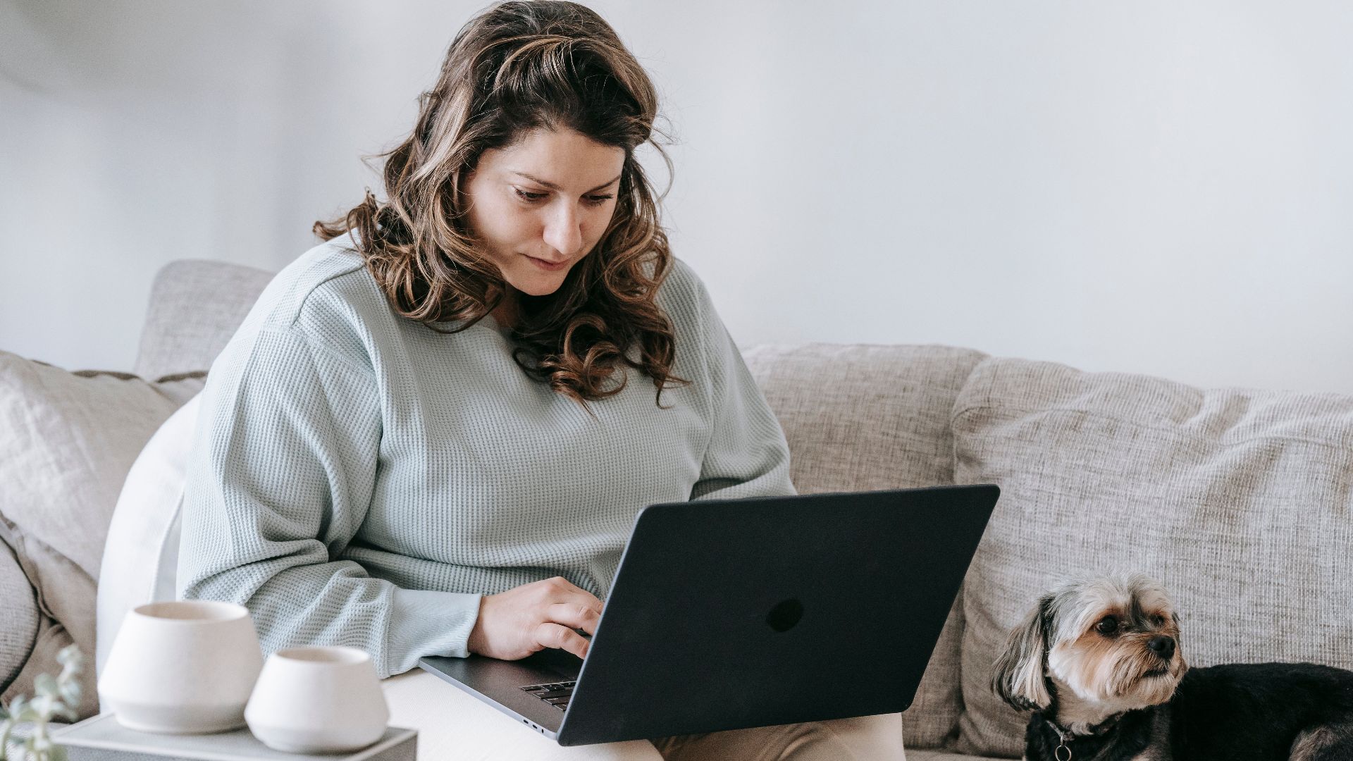 Concentrated young self employed woman in casual clothes sitting on couch near cute Yorkshire Terrier dog and working online on laptop from home
