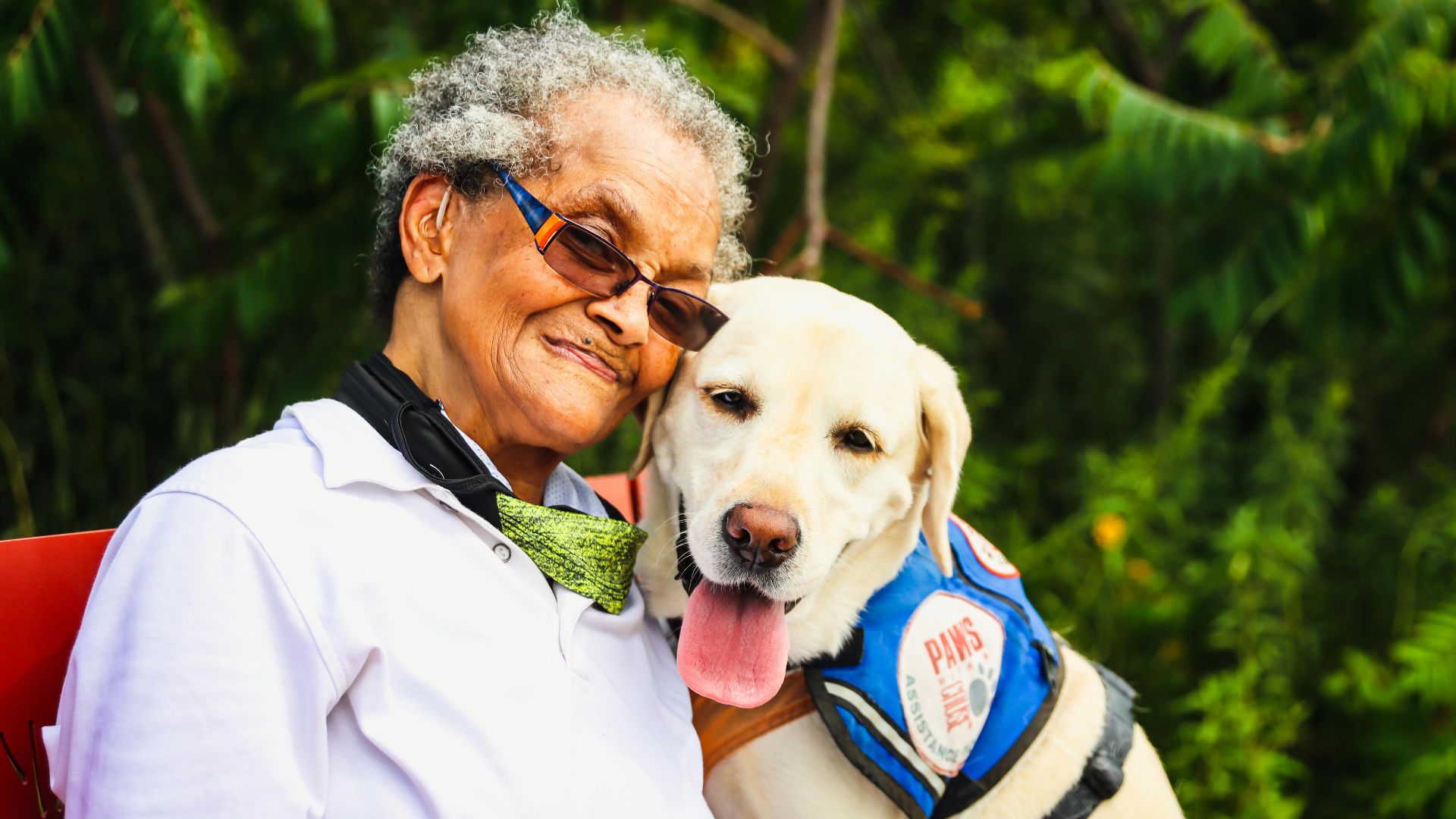 Elderly woman embracing her service Labrador Retriever outdoors, showcasing companionship.