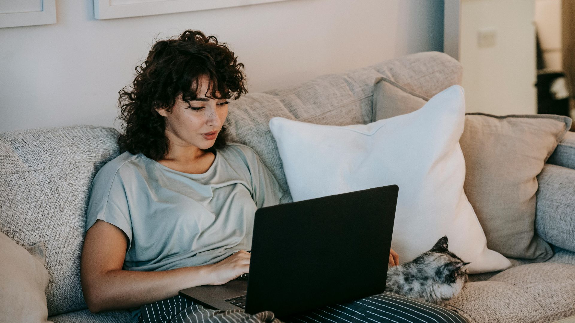 From above of calm young woman with curly hair in comfy clothes relaxing on couch and petting obedient cat while watching interesting film on laptop during weekend at home