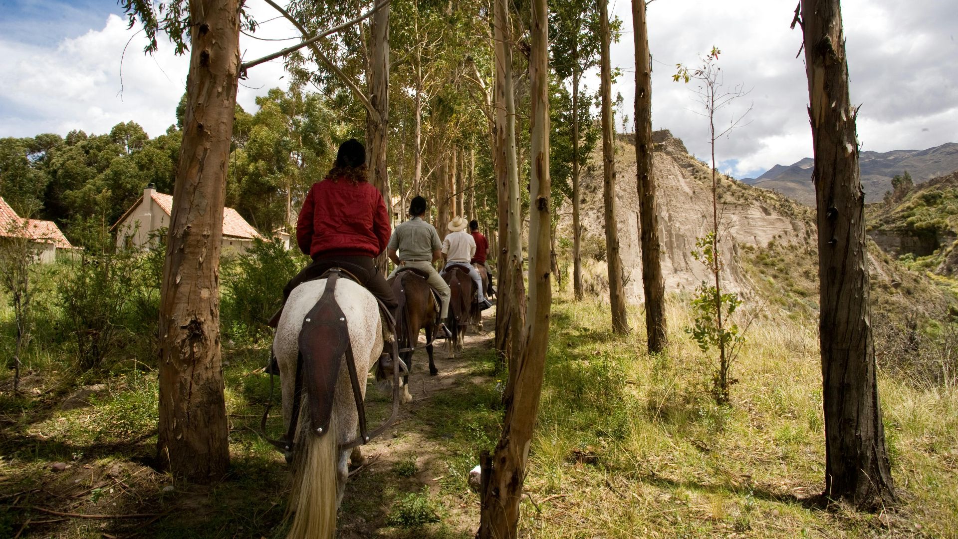 A group on horseback rides through a scenic forest trail, surrounded by tall trees and mountainous landscapes.