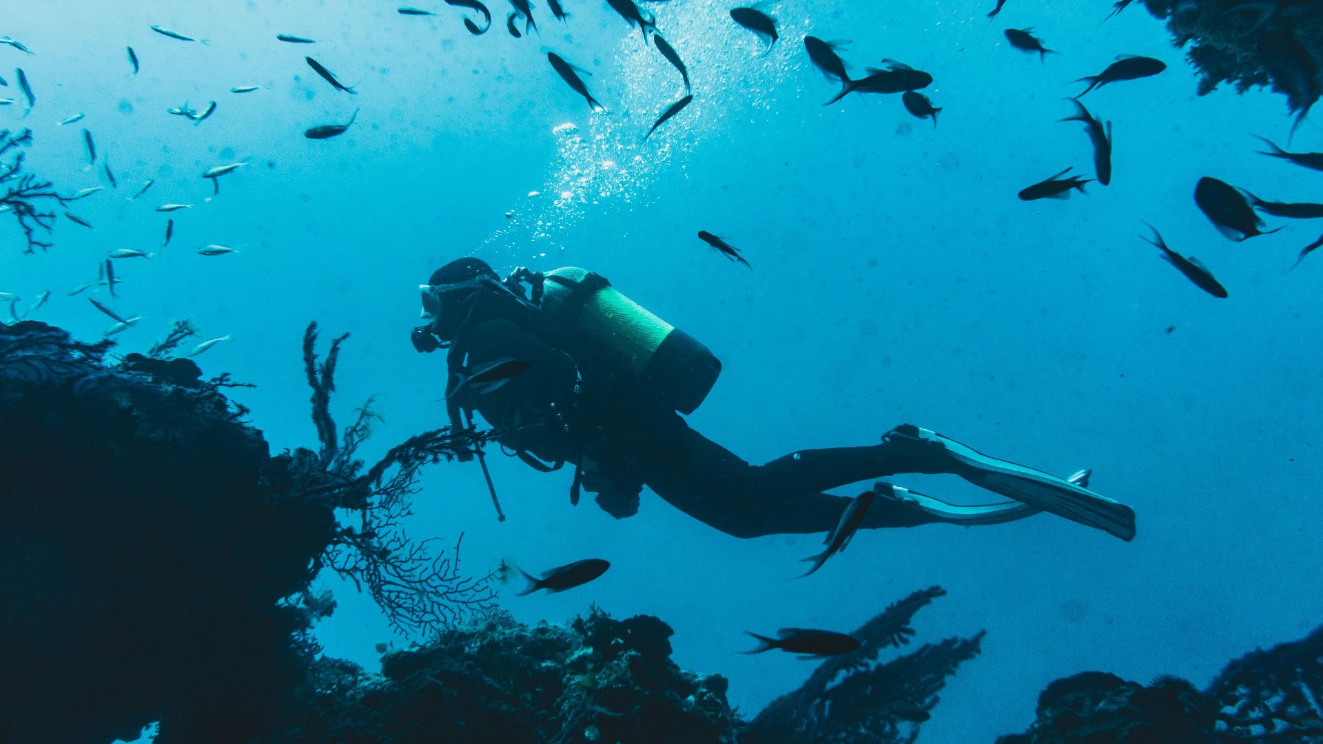 A diver swimming through a vibrant school of fish in a lively underwater ecosystem.