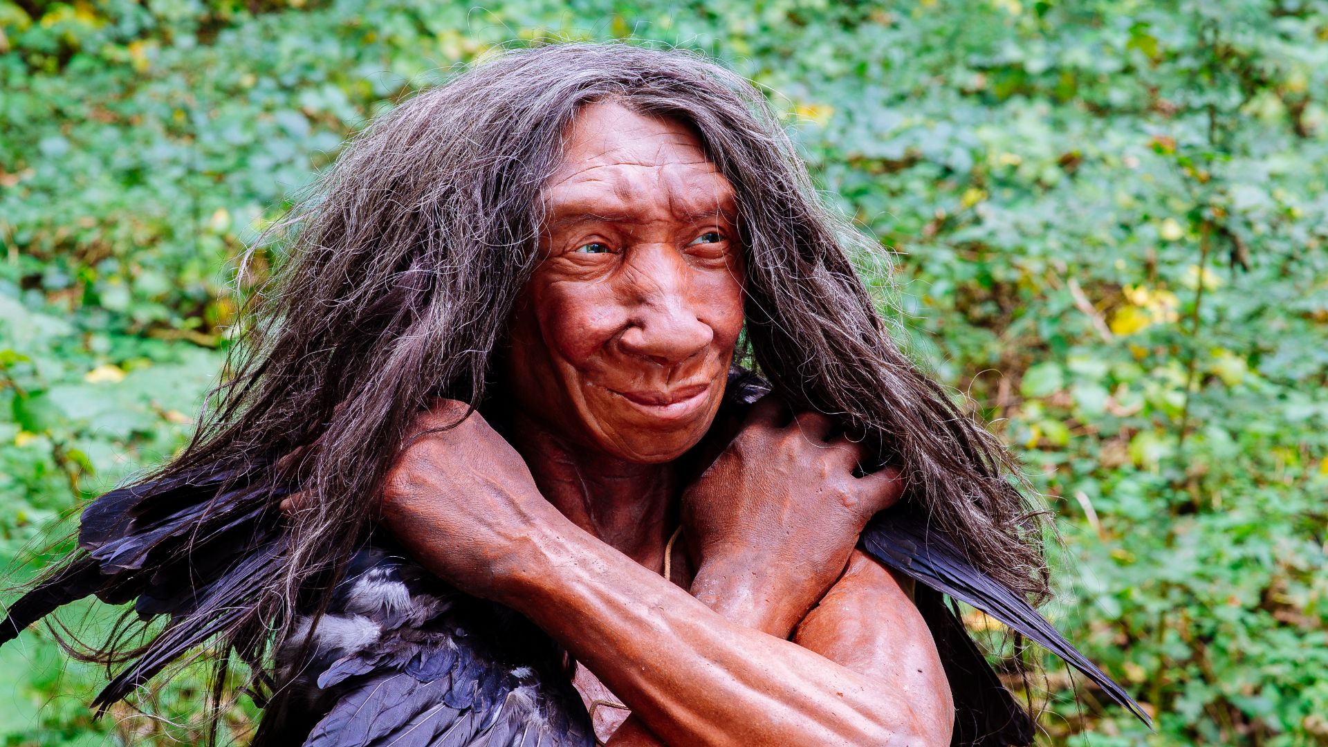 Lebend-Rekonstruktion im Neanderthal-Museum (Erkrath, Mettmann) eines Homo sapiens neanderthalensis (Ausschnitt des Originalfotos), Fundort Gibraltar