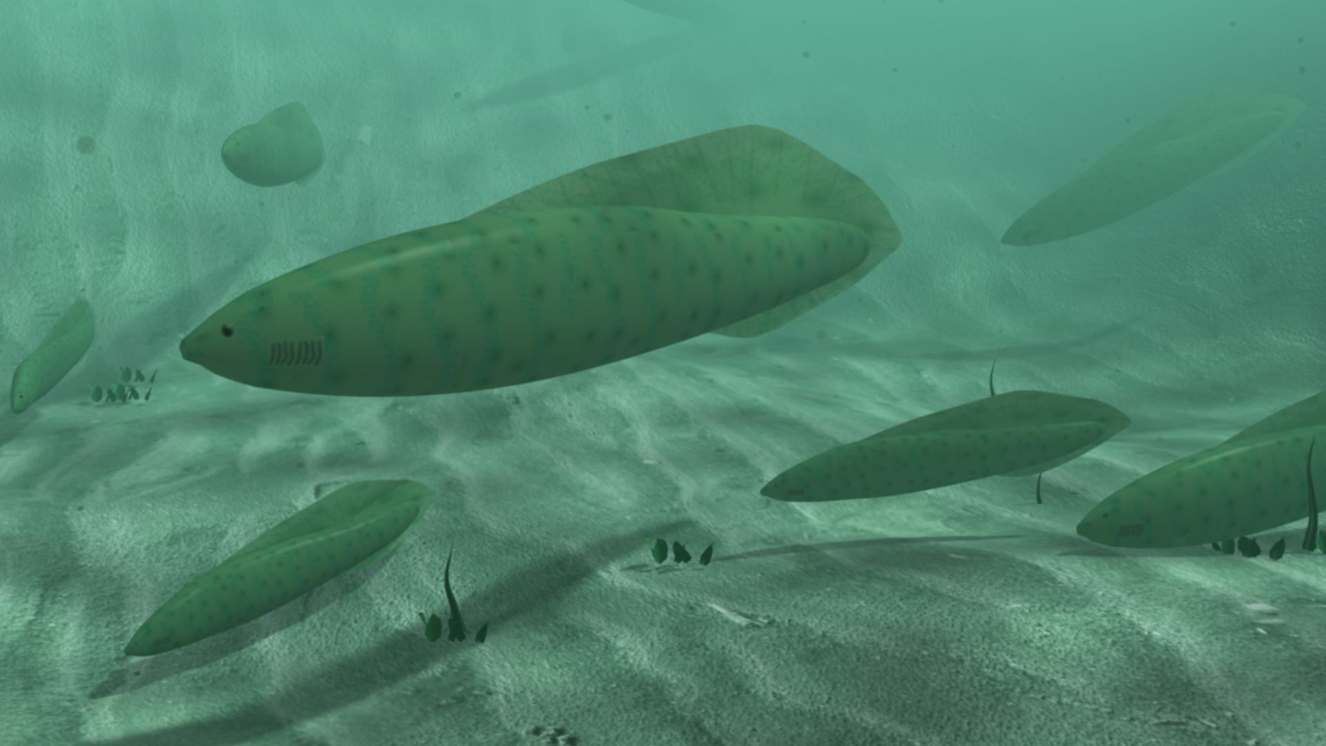Reconstruction of Haikouichthys ercaicunensis. Based on actual fossil evidence.