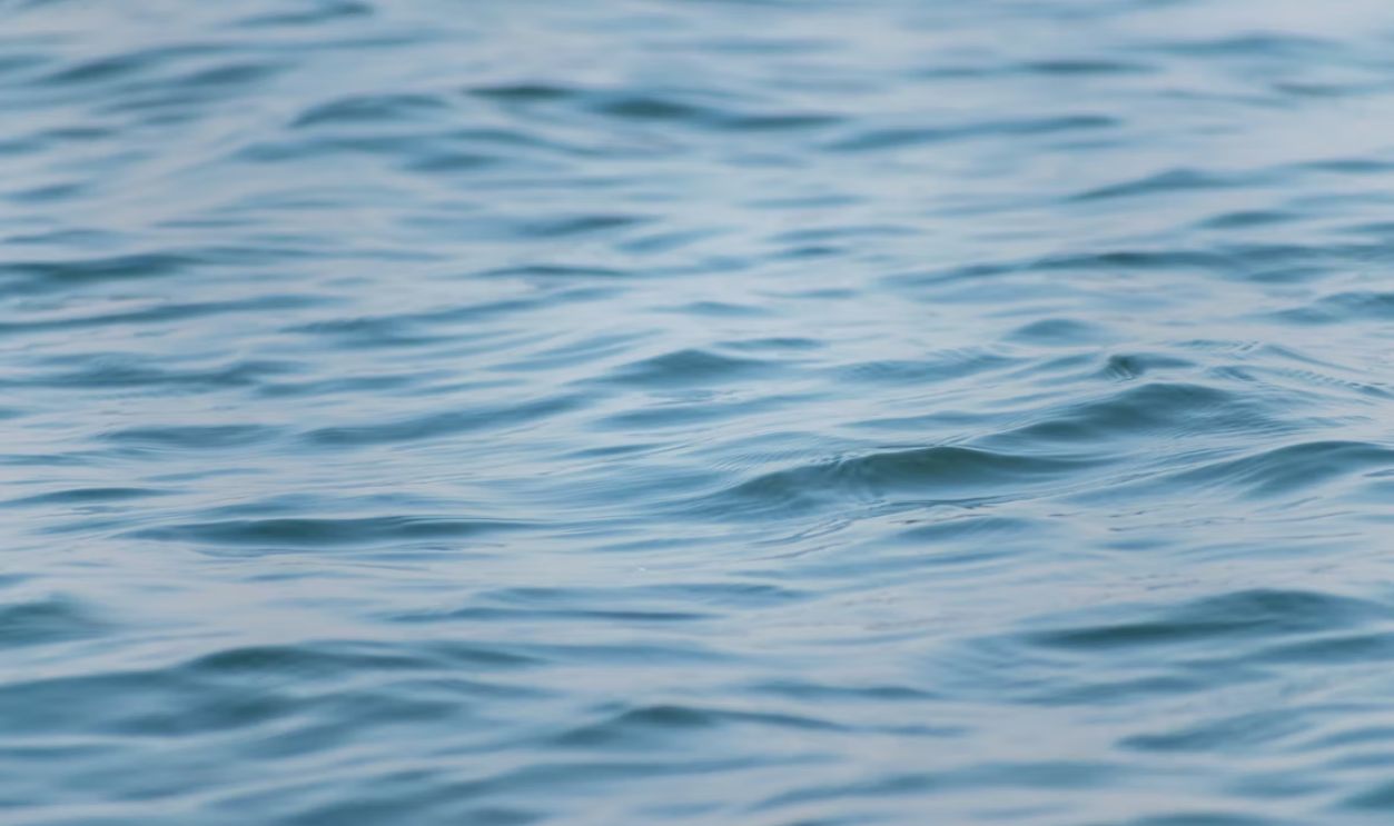 Water ripples create a beautiful, abstract pattern.