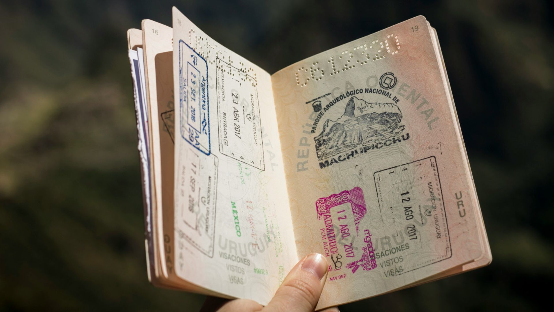 person holding passport