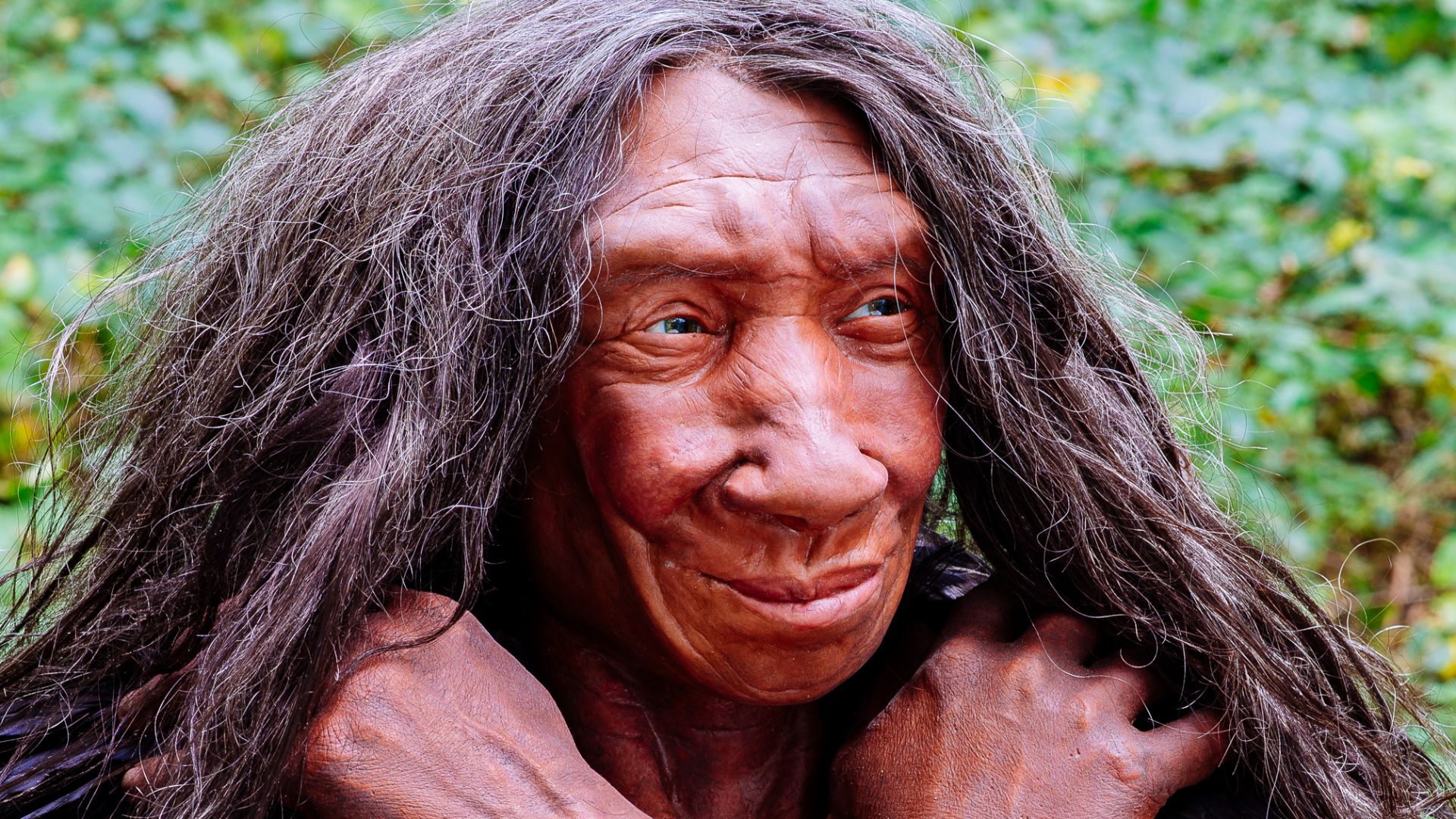 Lebend-Rekonstruktion im Neanderthal-Museum (Erkrath, Mettmann) eines Homo sapiens neanderthalensis (Ausschnitt des Originalfotos), Fundort Gibraltar