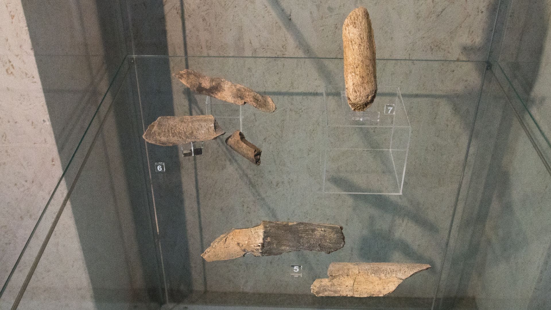 Neandertal tools from Kůlna Cave (near Sloup, Blansko District, Czech Republic):
(5) Unique retouchers from mammoth ivory.
(6) Bone retouchers.
(7) Pointed mammoth rib fragment. Smoother?
Temporary exhibition Welcome to the Neandertals in the Anthropos Pavilon, Brno.