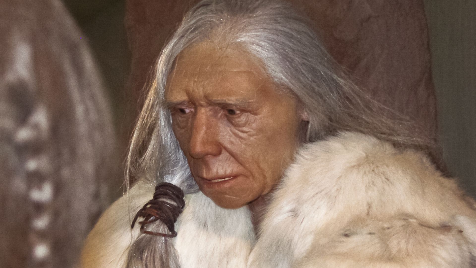 Figürliche Darstellung einer alten Neandertaler-Frau im Neandertal-Museum, Erkrath