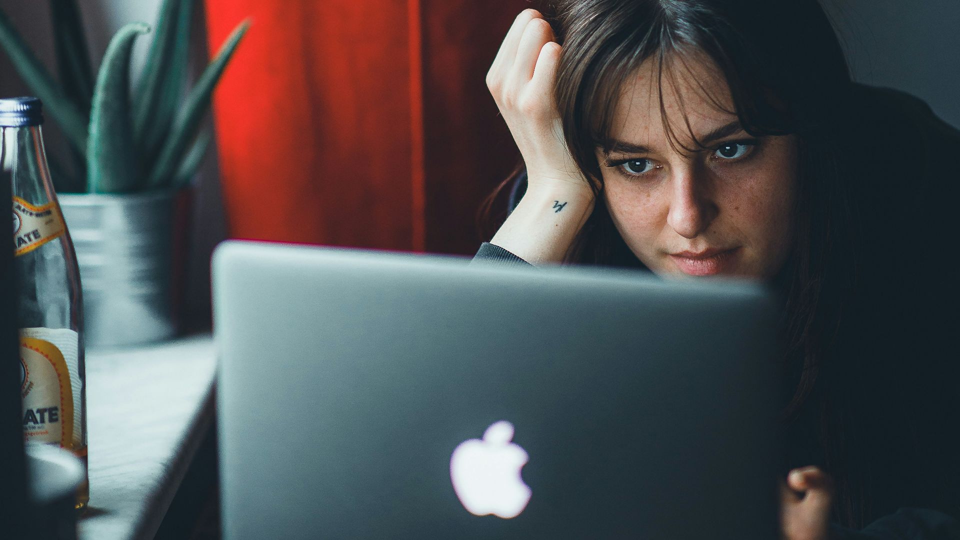 a person looking at a laptop