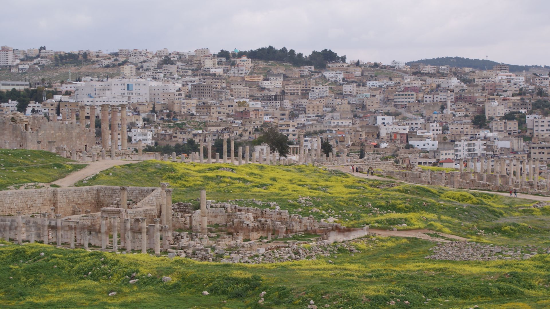 The Cardo