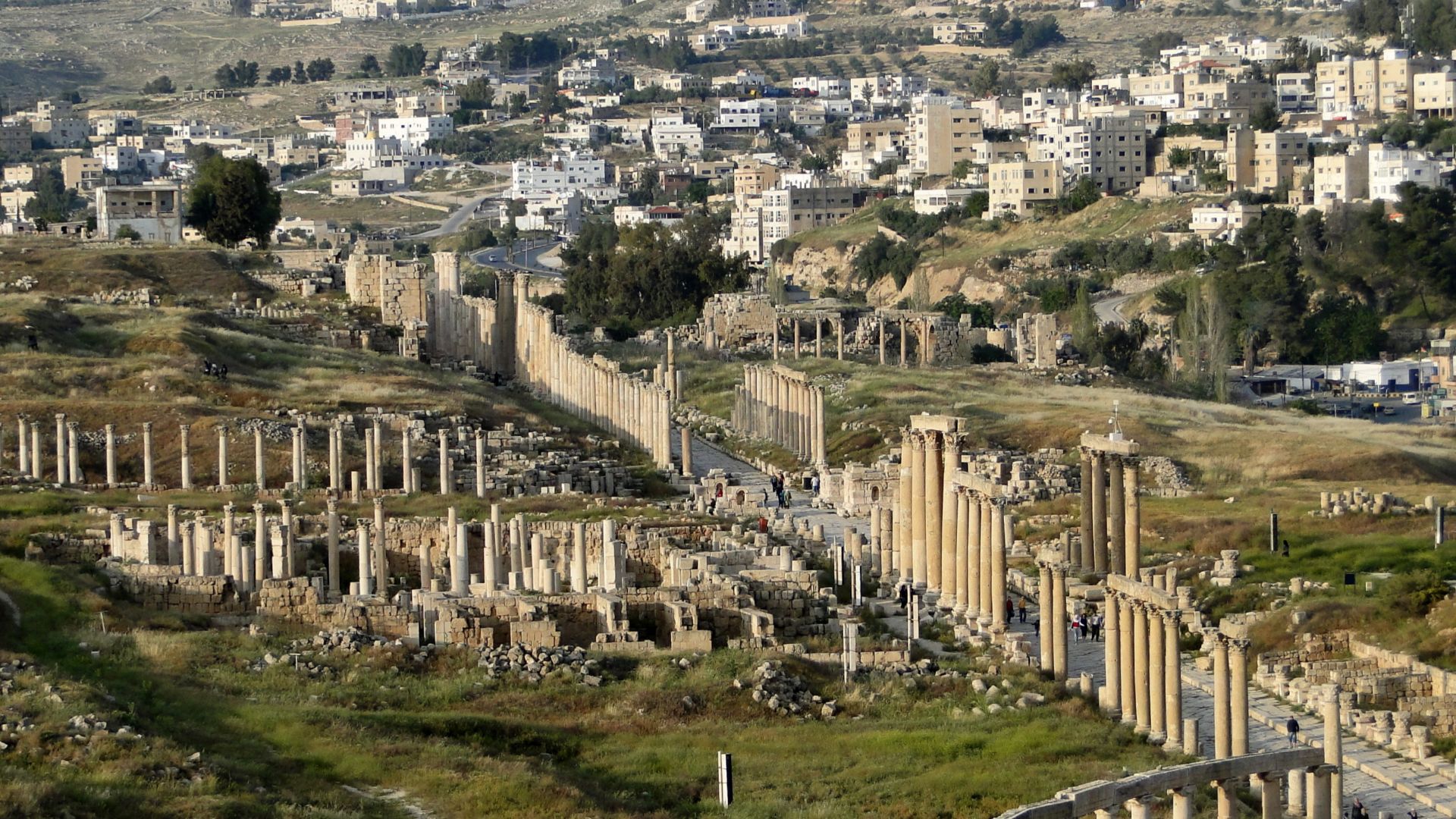 General view of the cardo maximus of Jerash, Jordan