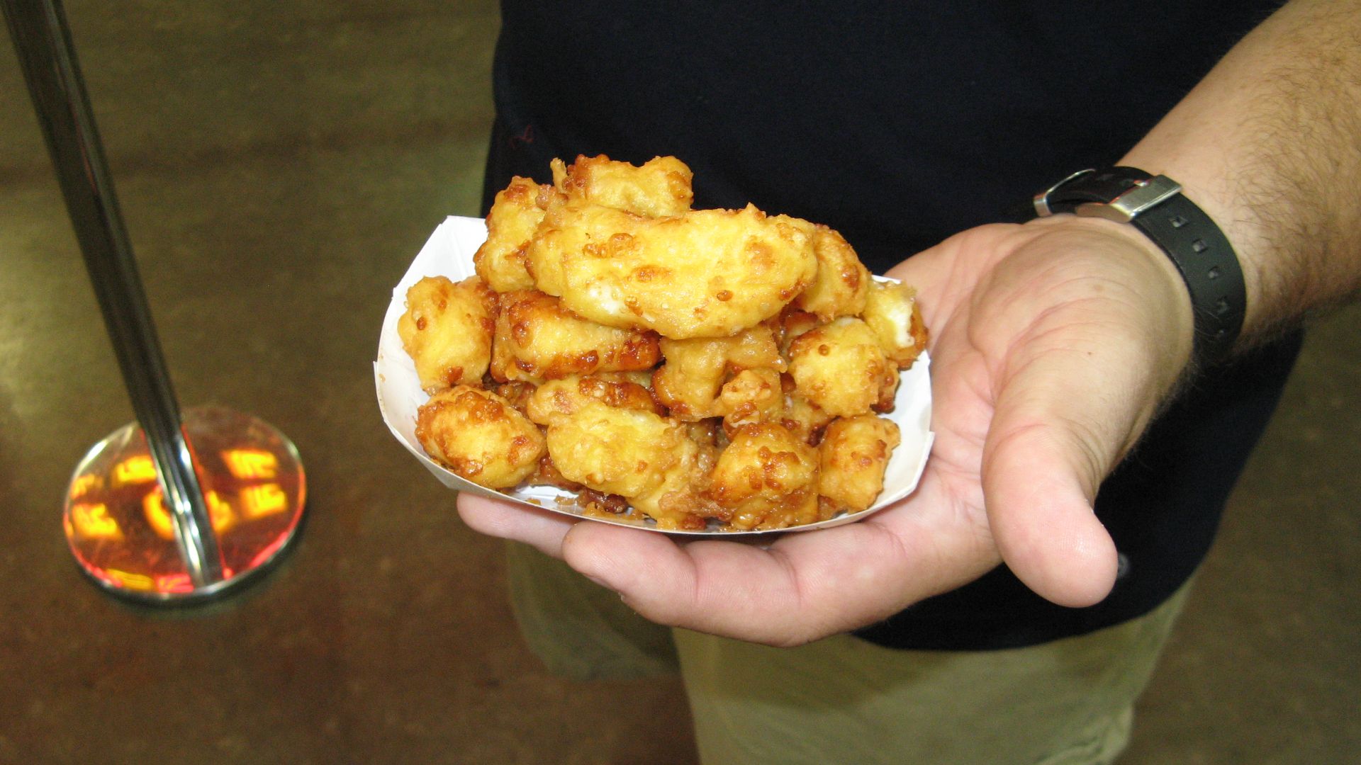 2009 Minnesota State Fair