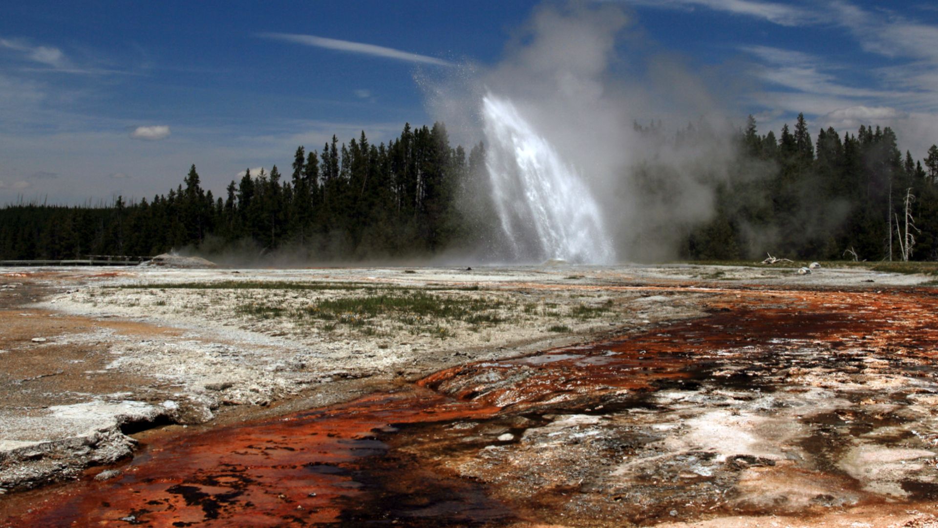 Daisy Geyser erupting in Yellowstone National Park