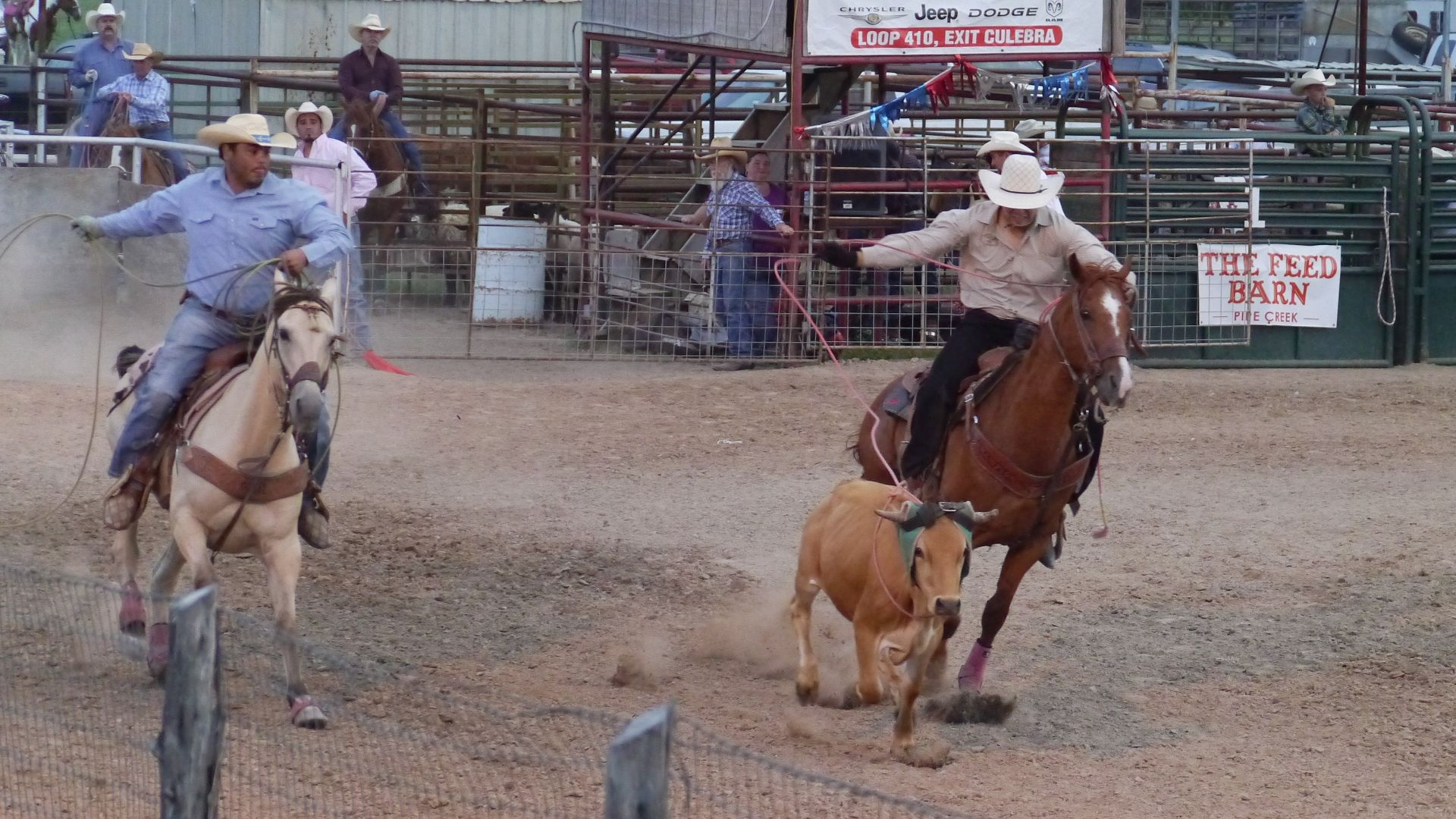 Rodeo, Texas, USA