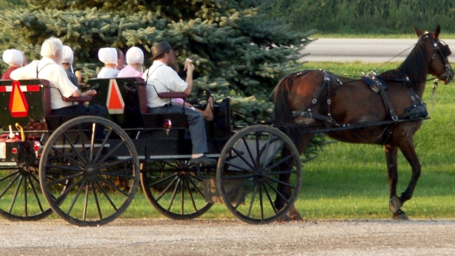 Amish