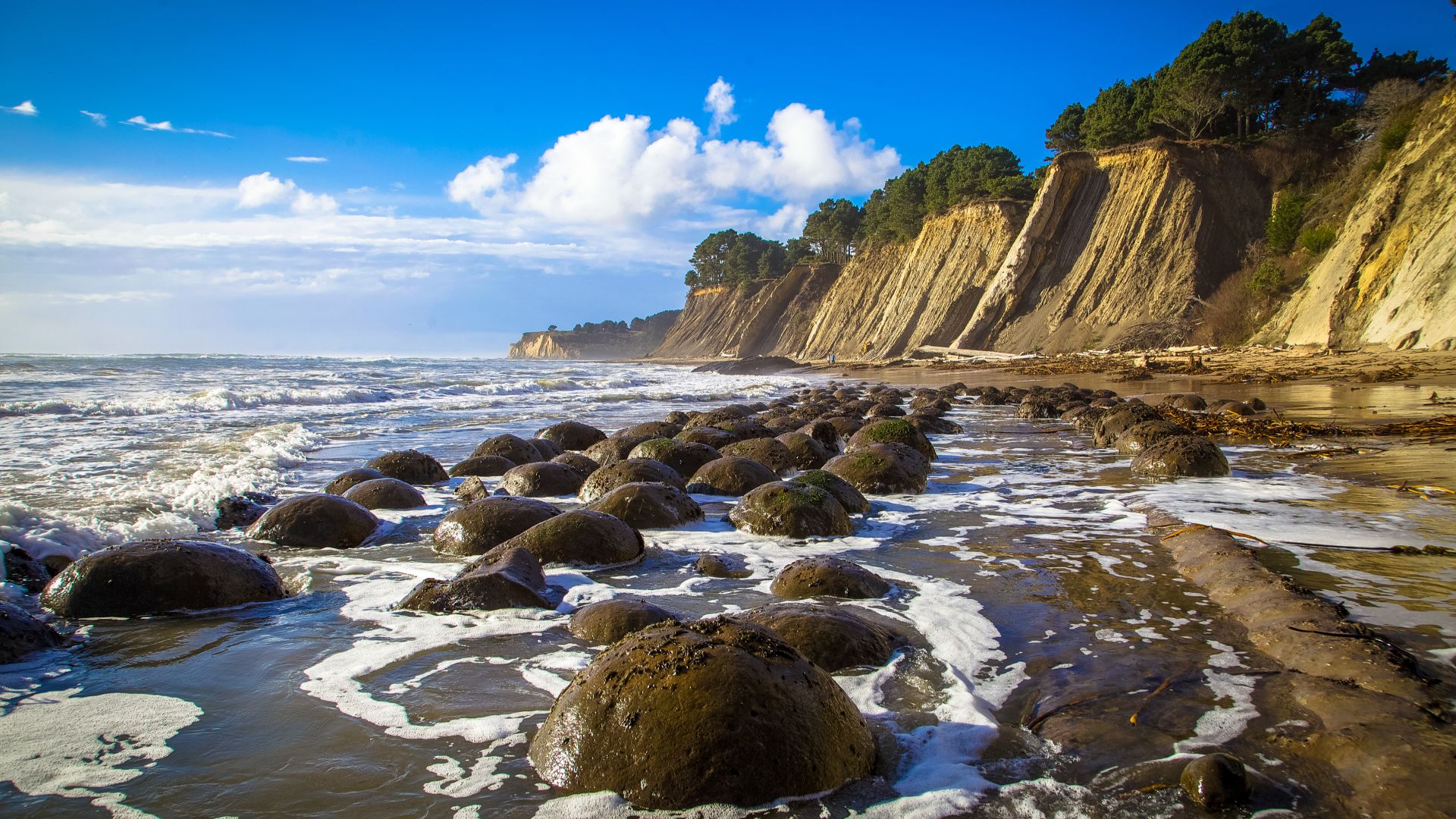 Craving those scenic coastal views? Plan a summer visit to a sanctuary near you! Bowling Ball Beach at Greater Farallones National Marine Sanctuary, seen here, offers visitors captivating scenery. Exposed during low tide, large sandstone orbs called concretions have earned Bowling Ball Beach its name. 

Photo Credit: Matt McIntosh/NOAA