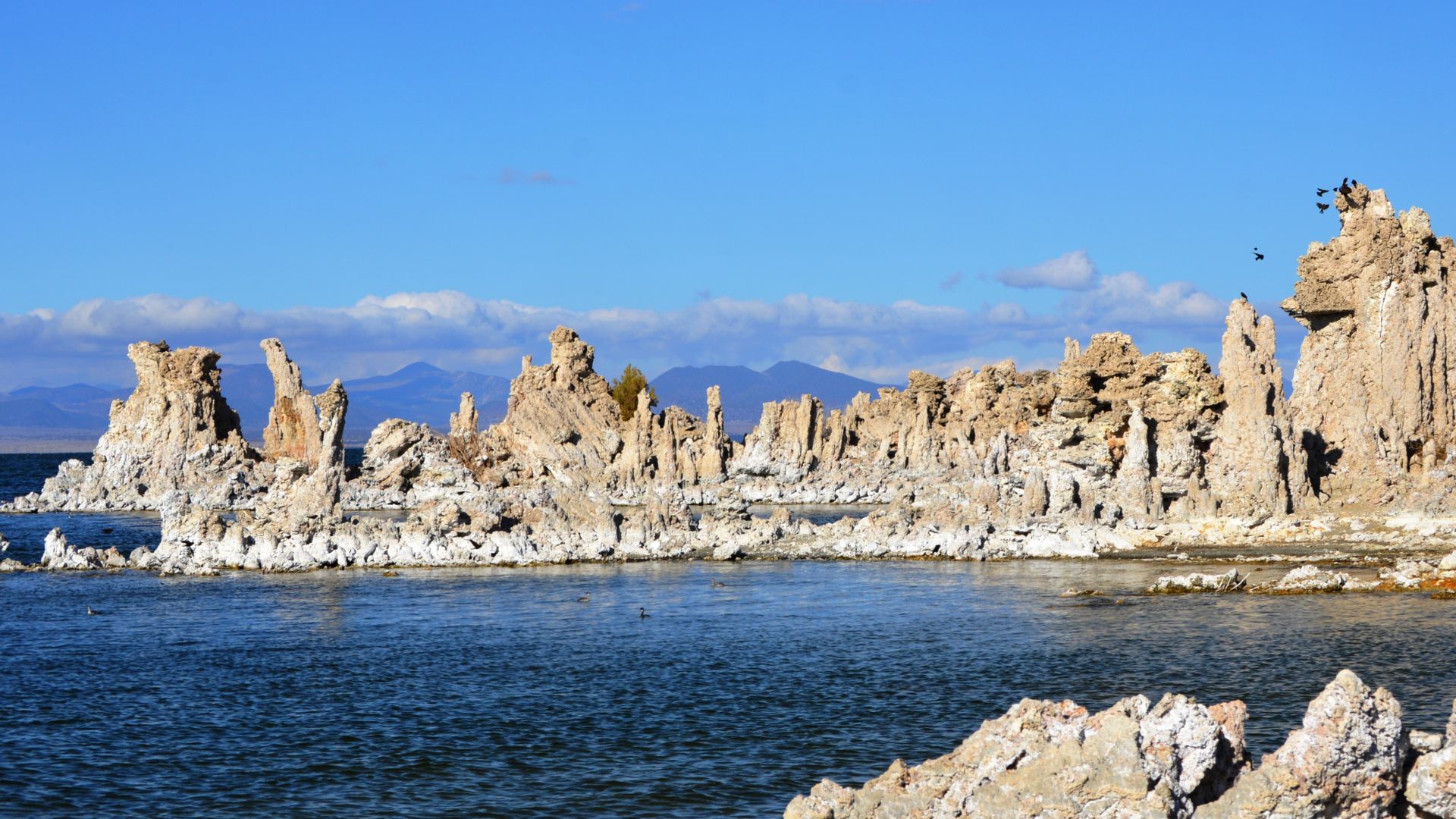Mono Lake's