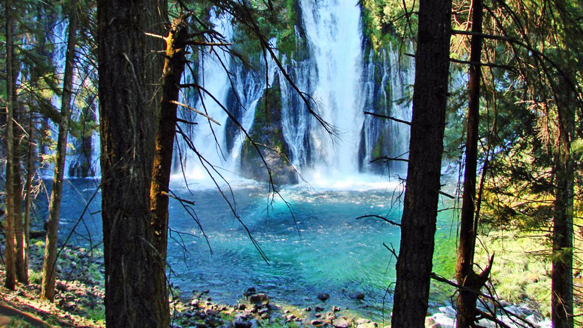 (1 in a multiple picture album)
McArthur-Burney Falls State Park, east of McCloud, CA, was a breathtaking surprise.  We thought for a moment we had been transported to Hawaii!
The park's centerpiece is the 129-foot Burney Falls, which is not the highest or largest waterfall in the state, but possibly the most beautiful. Additional water comes from springs, joining to create a mist-filled basin. Burney Creek originates from the park's underground springs and flows to Lake Britton, getting larger along the way to the majestic falls. 

Within the park, the water emerges as springs at and above Burney Falls, where it flows at 100 million gallons every day.