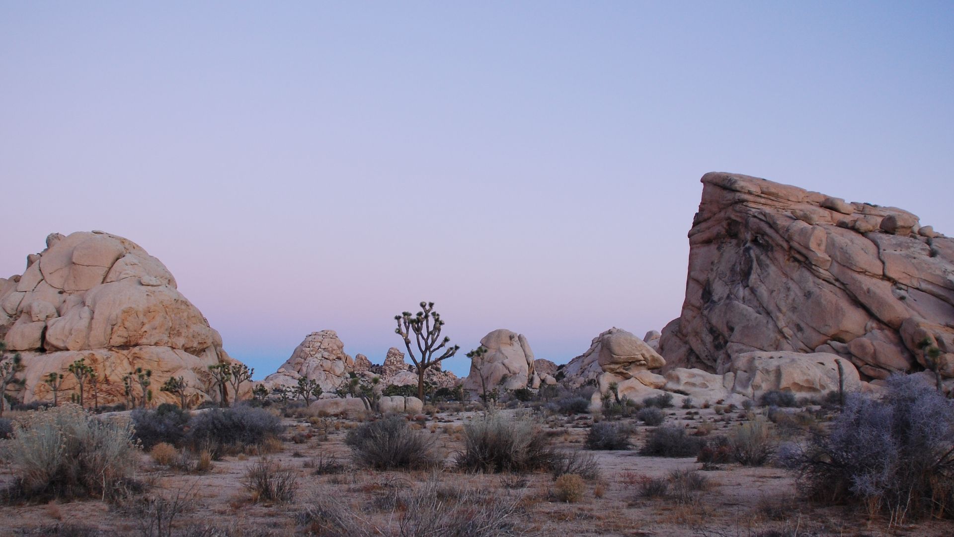 Joshua Tree National Park: Cyclops and Pee Wee Formations near Hidden Valley Campground during civil twilight before sunrise. The receding fringe of Earth's shadow and the Belt of Venus above it are seen in the background sky, low above the horizon.