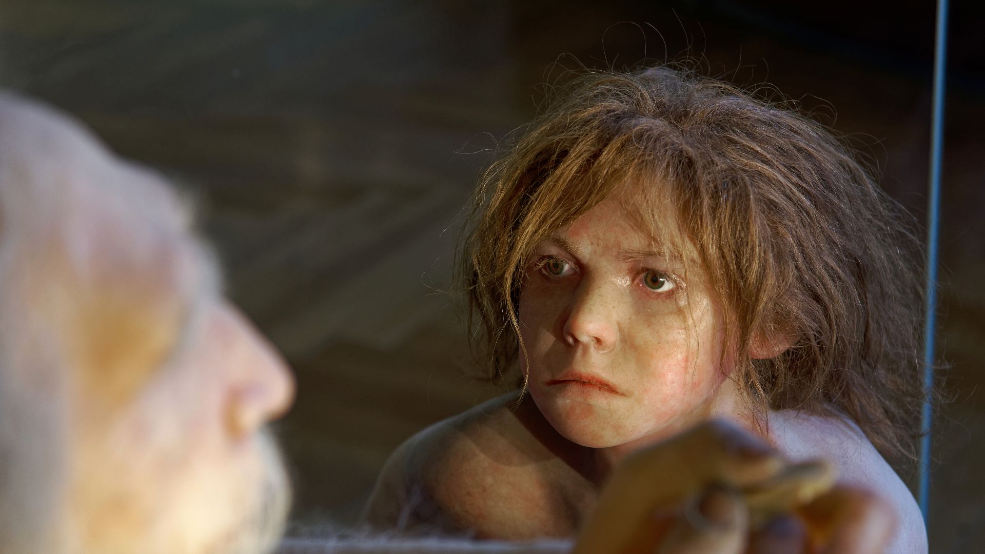 Model of Homo neanderthalensis child in The Natural History Museum, Vienna