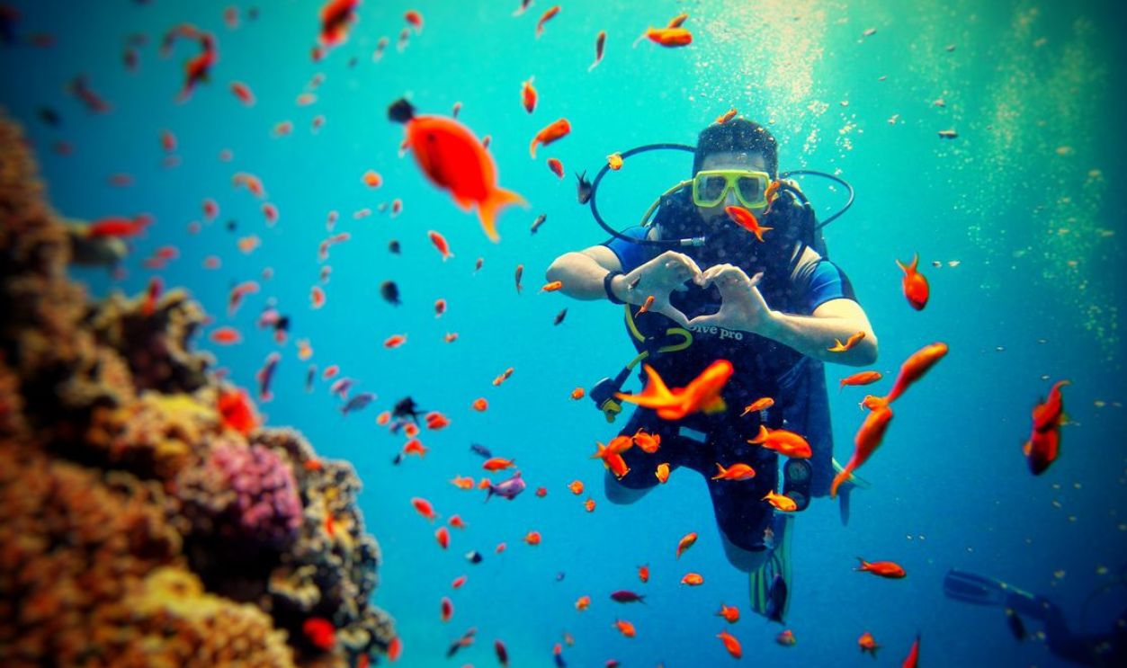 Diver surrounded by colorful fish and coral reef, capturing underwater adventure