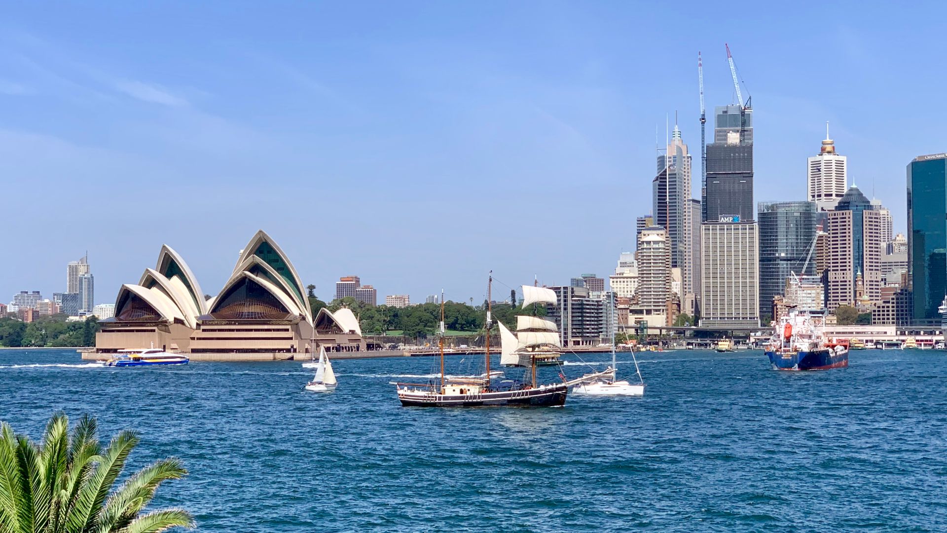 Sydney Opera House from the Kirribilli Lookout, Bradfield Park, Kirribilli, NSW
