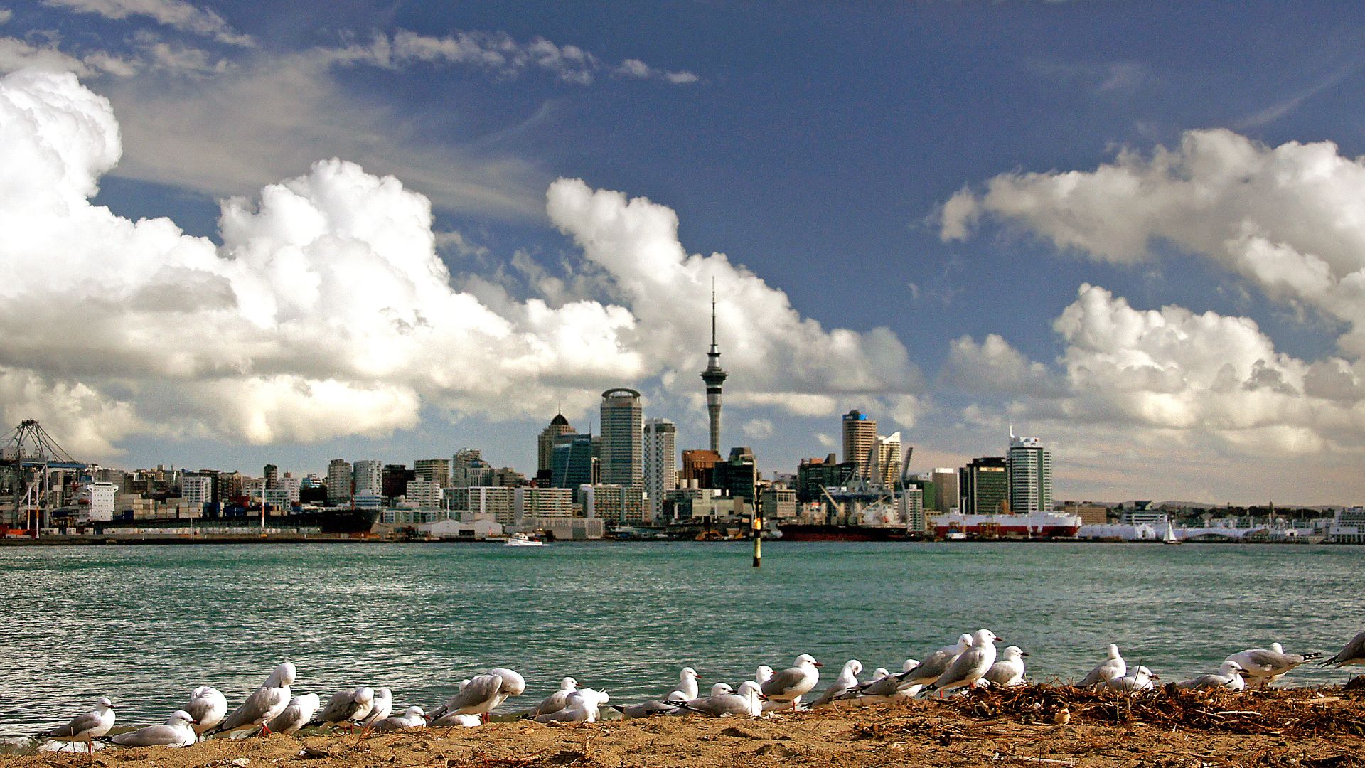 Auckland is a city of volcanoes, with the ridges of lava flows forming its main thoroughfares and its many cones providing islands of green within the sea of suburbs. As well as being by far the largest, it’s also the most multicultural of New Zealand’s c
