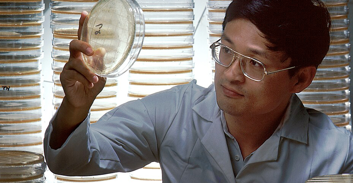 Scientist looking at a sample