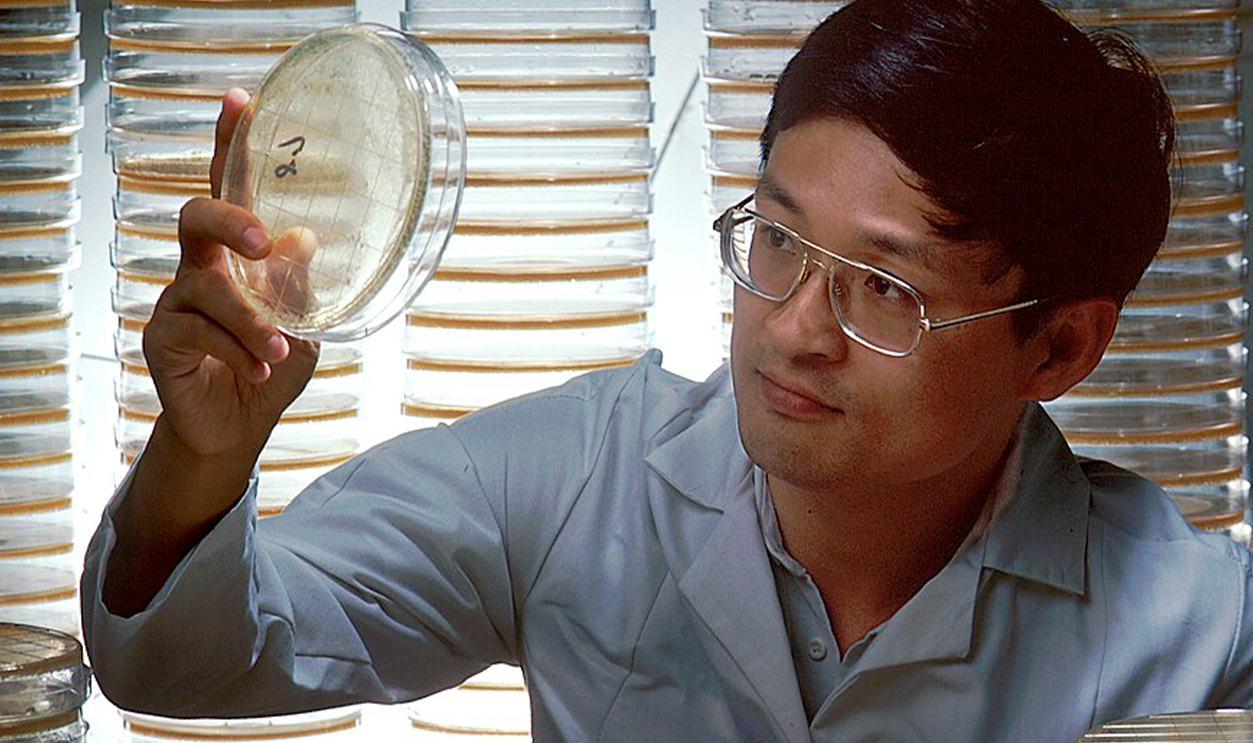 Scientist looking at a sample