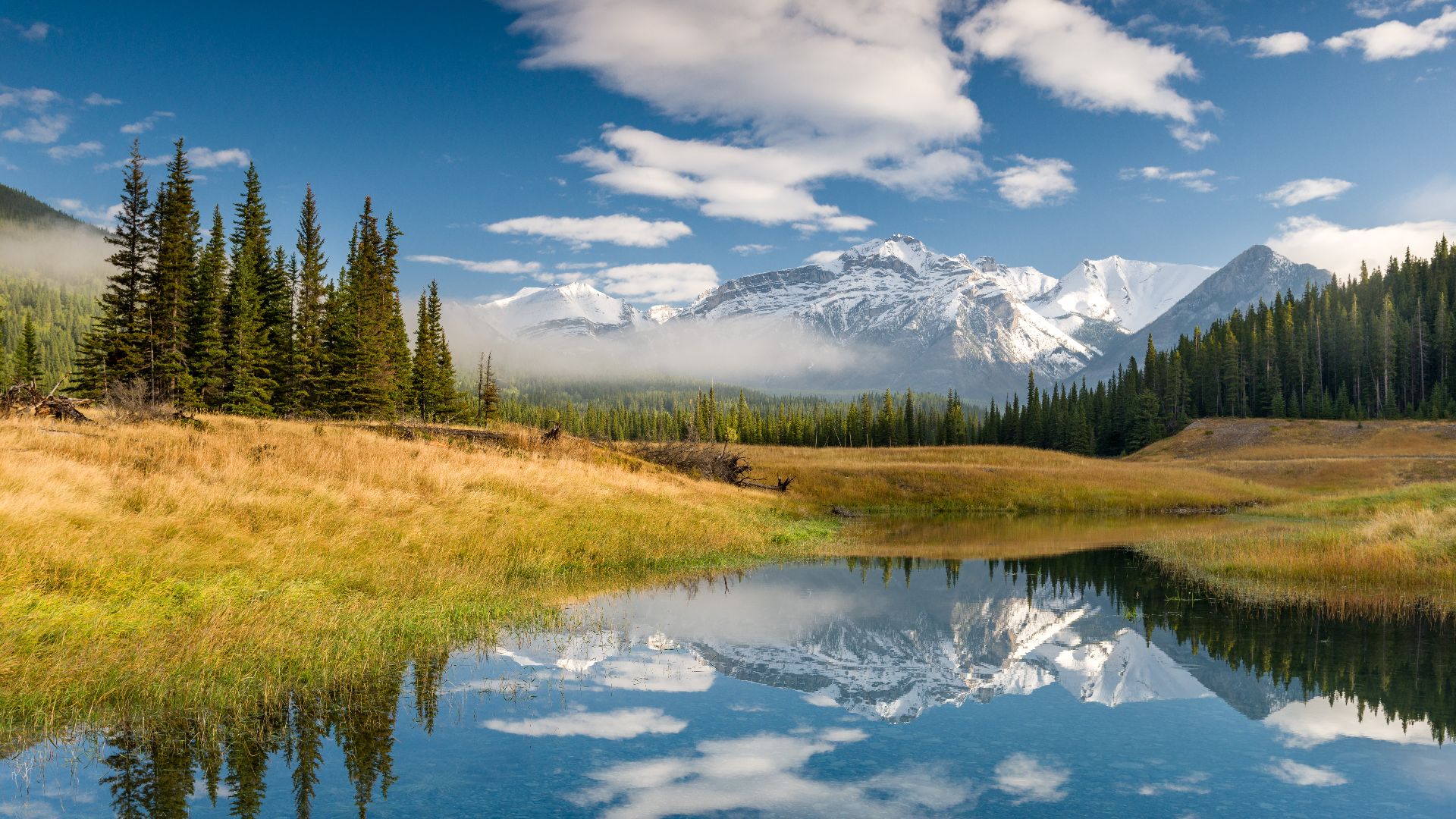 Canadian Rockies in the morning. Banff National Park, Alberta, Canada.