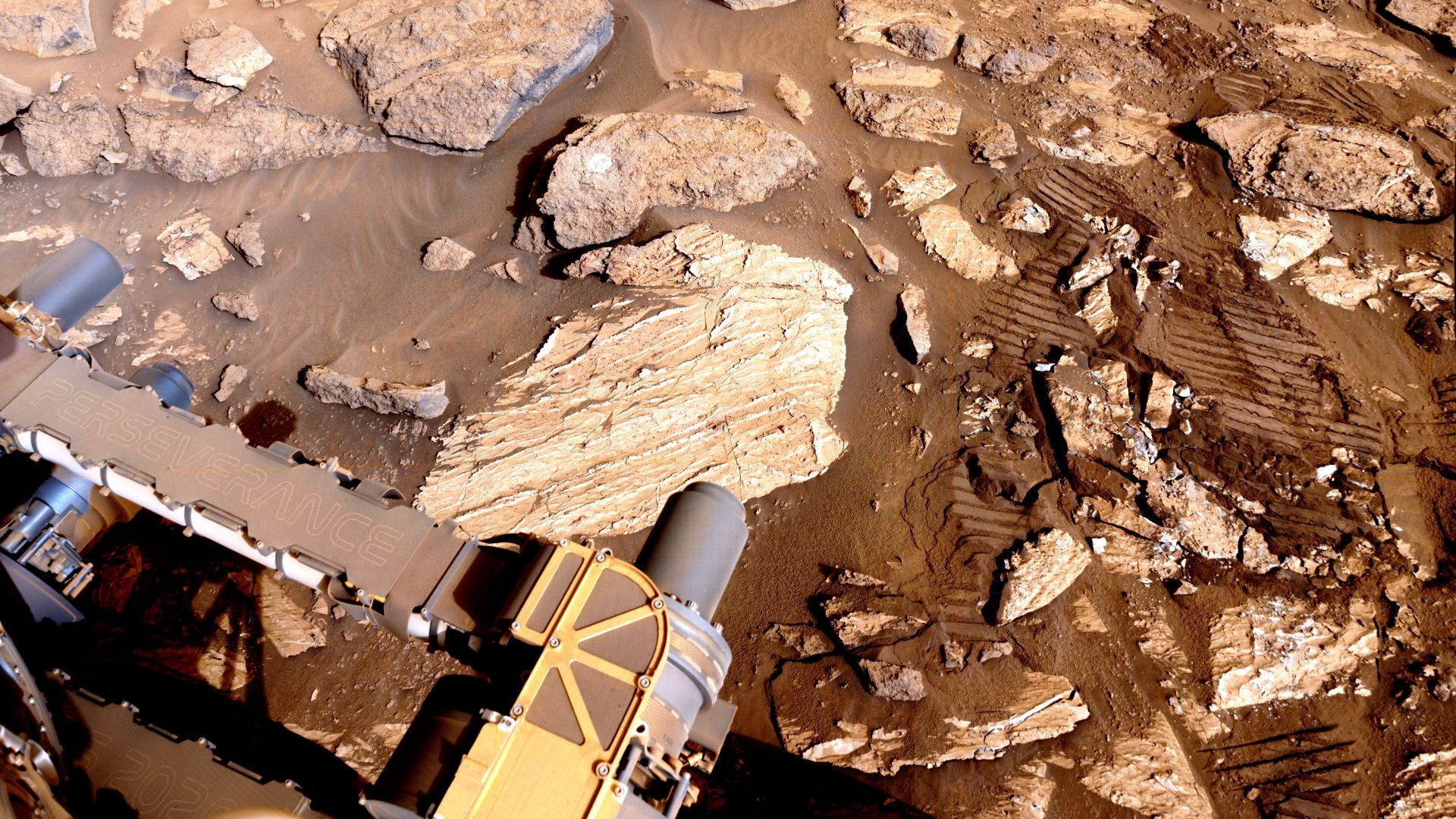 Context image from NASA/JPL-Caltech Perseverance Rover at Sapphire Canyon sample site on Cheyava Falls boulder