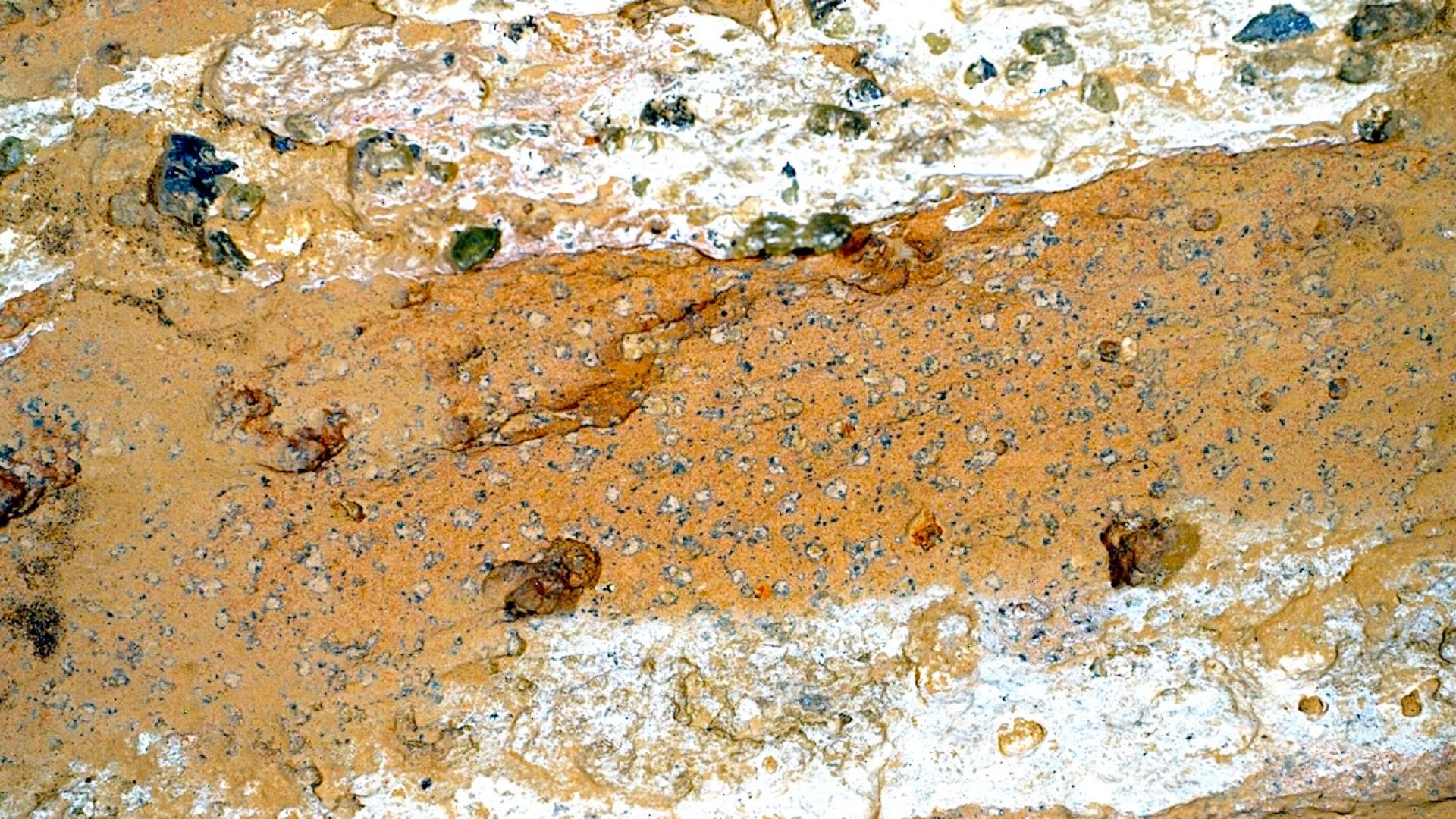 Highest detail image from NASA/JPL-Caltech Perseverance Rover at Sapphire Canyon sample site on Cheyava Falls boulder