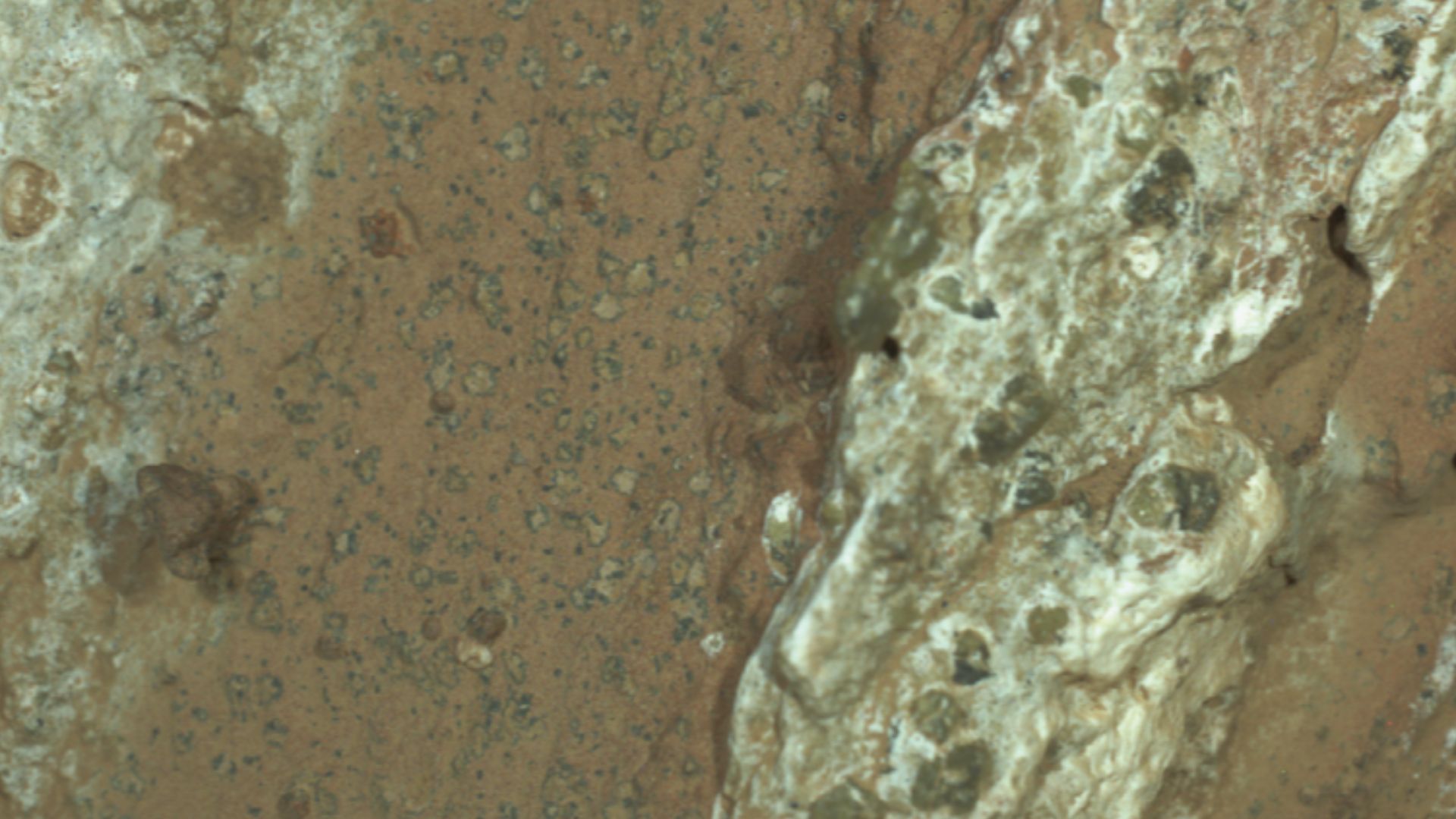 Layering, nodules, reaction fronts and organic detections