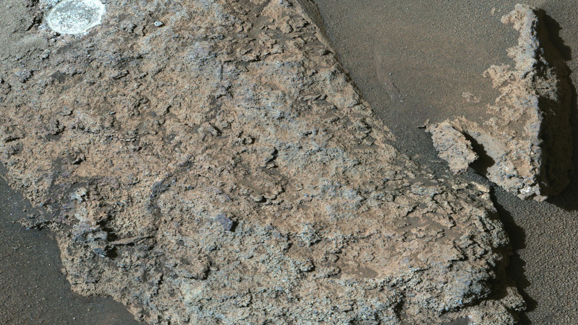 NASA's Perseverance Mars rover used its Mastcam-Z instrument to view this workspace around the sample collected from a rock nicknamed