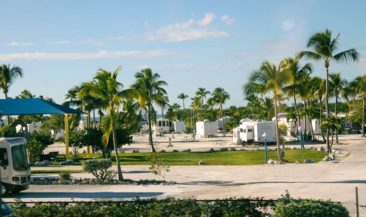 A tropical RV park with palm trees under a bright blue sky, perfect for summer travel
